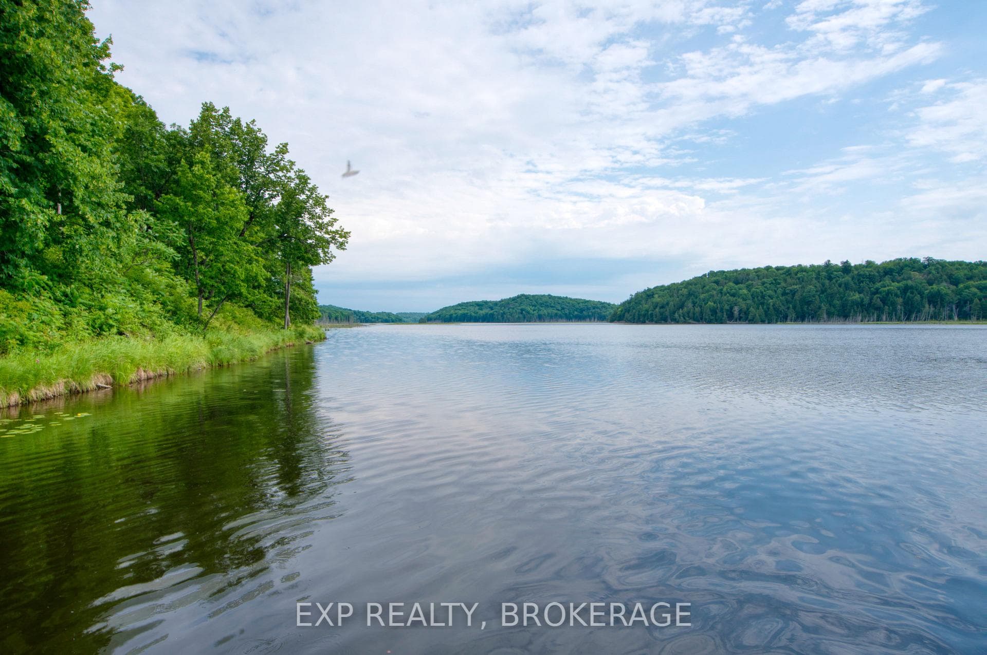 1427 LEWIS Road photo 42