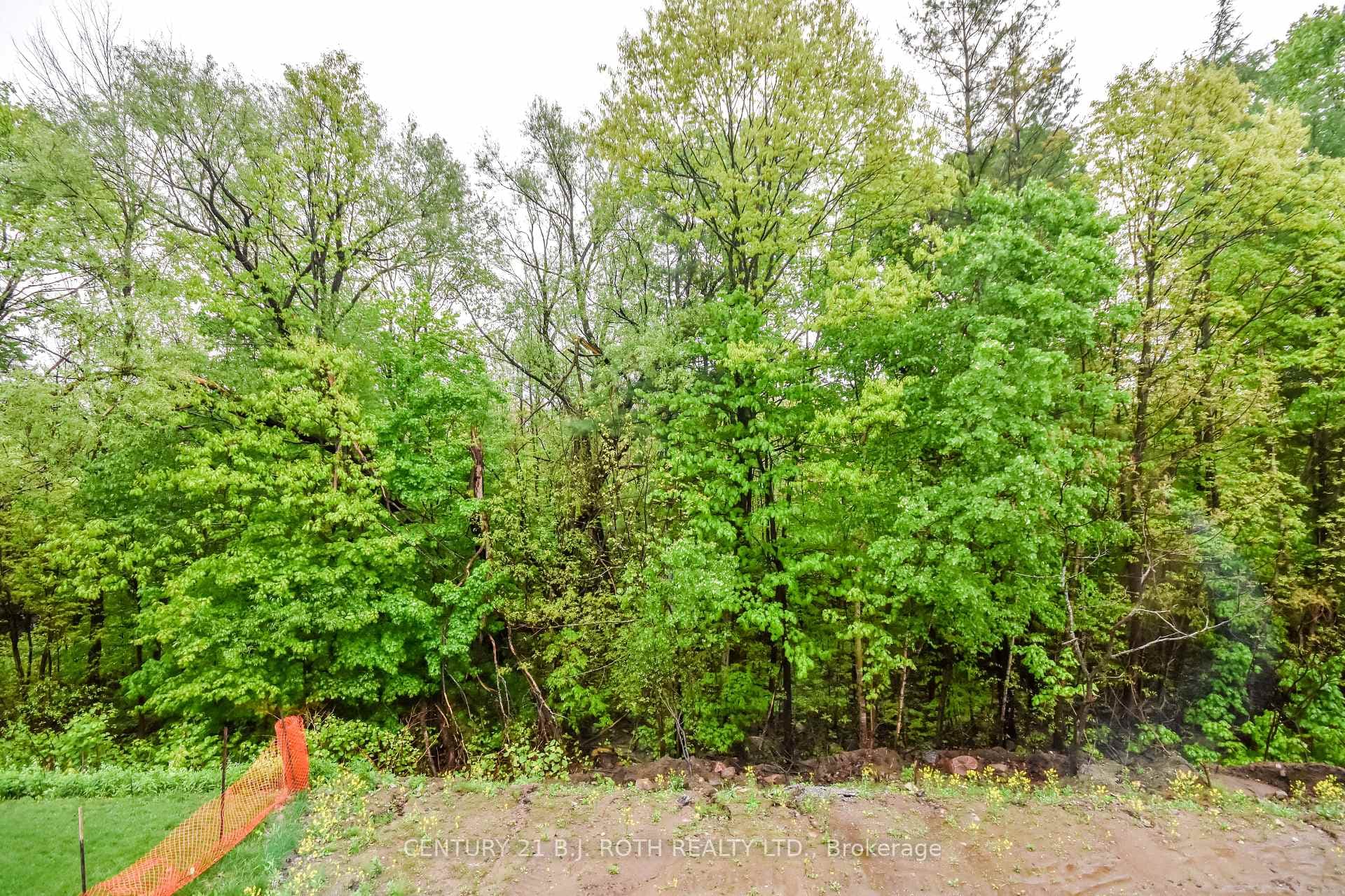 433 Russ Howard Drive photo 24