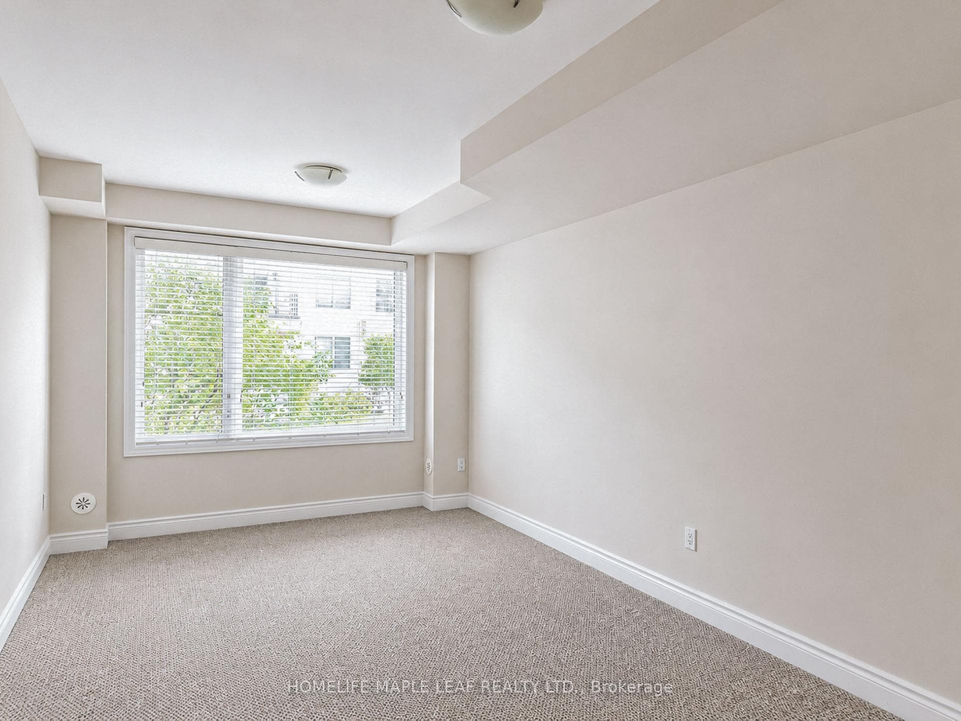 11 Aylin Crescent photo 4