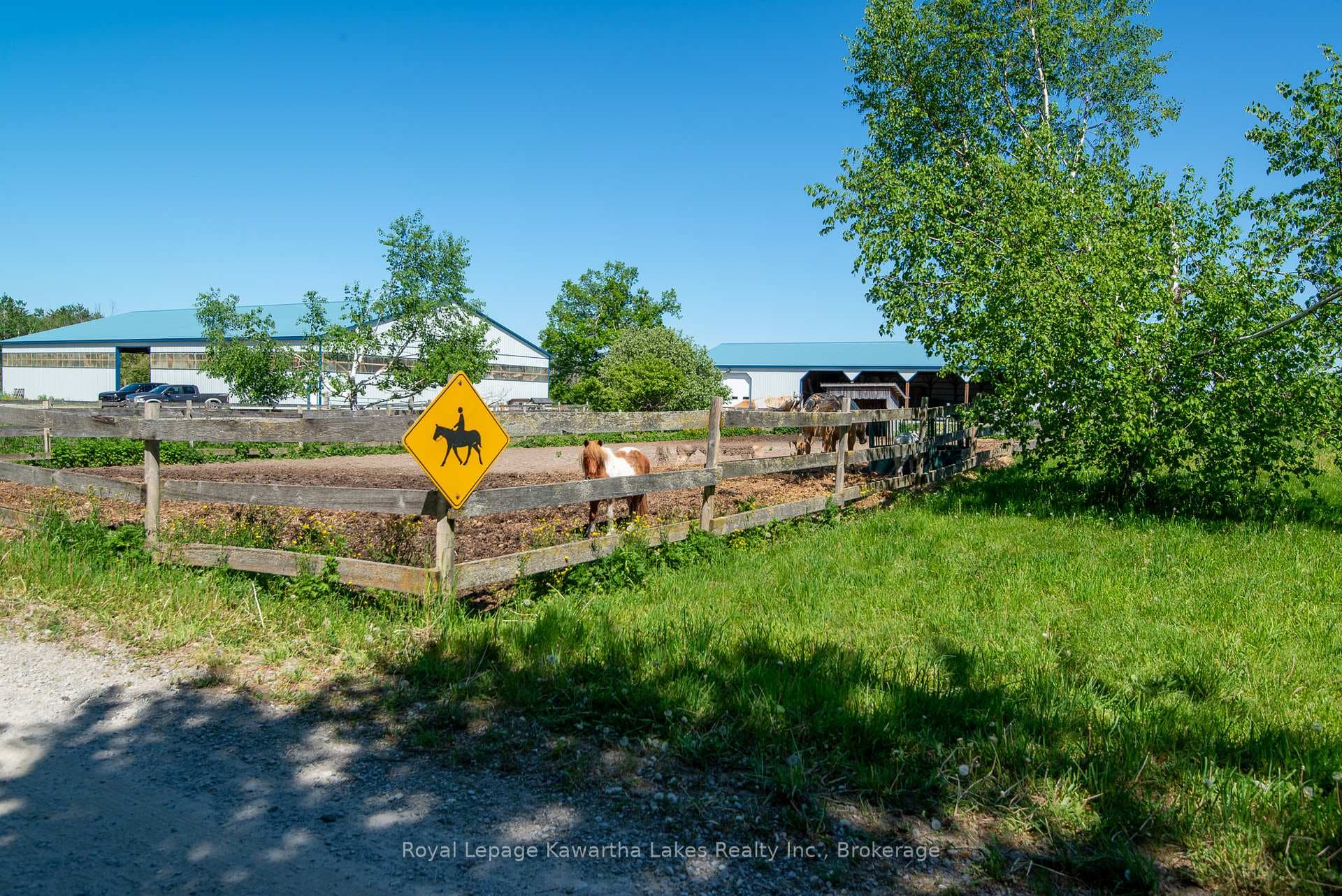 Driveway to the Barn