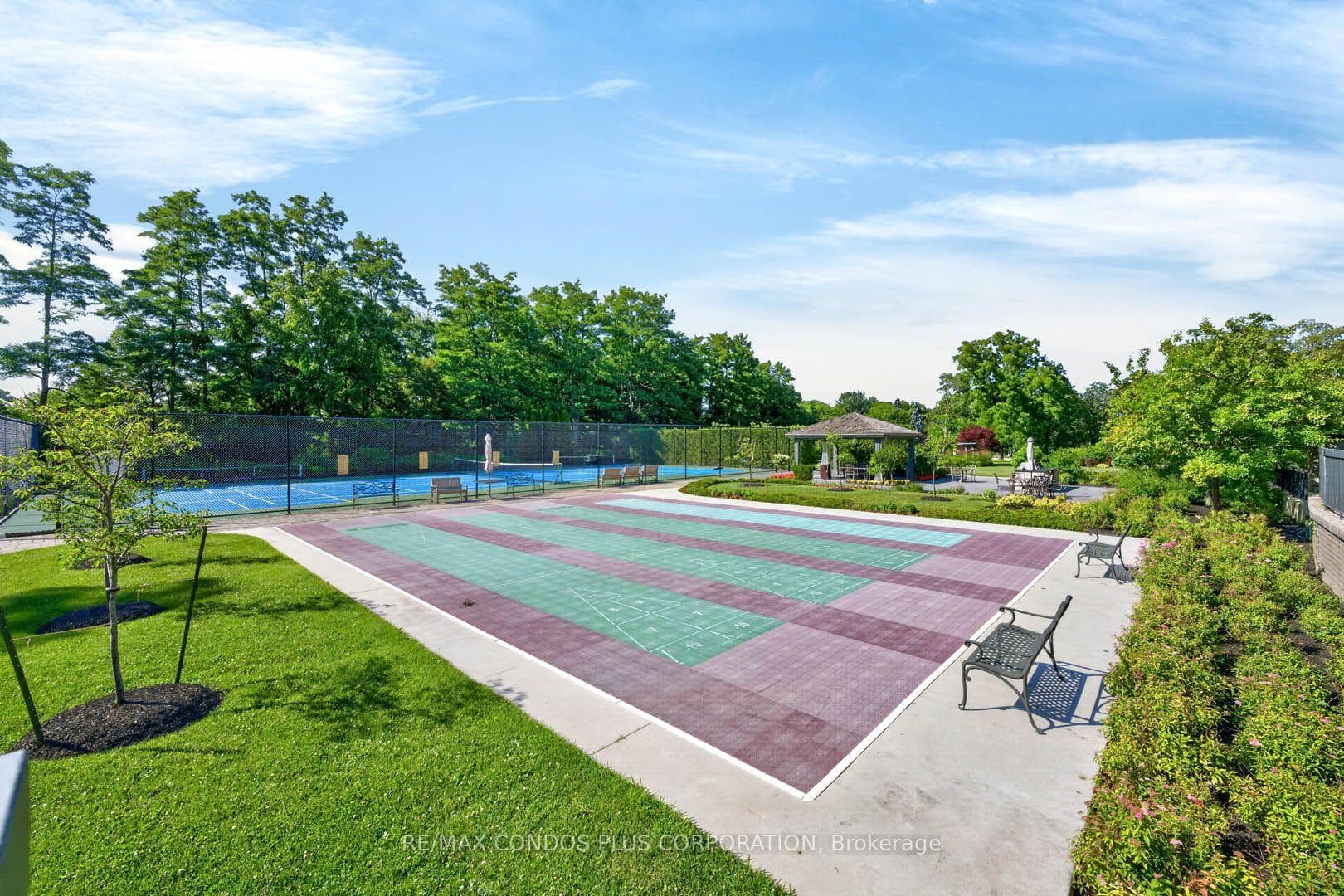 Shuffle Board Court