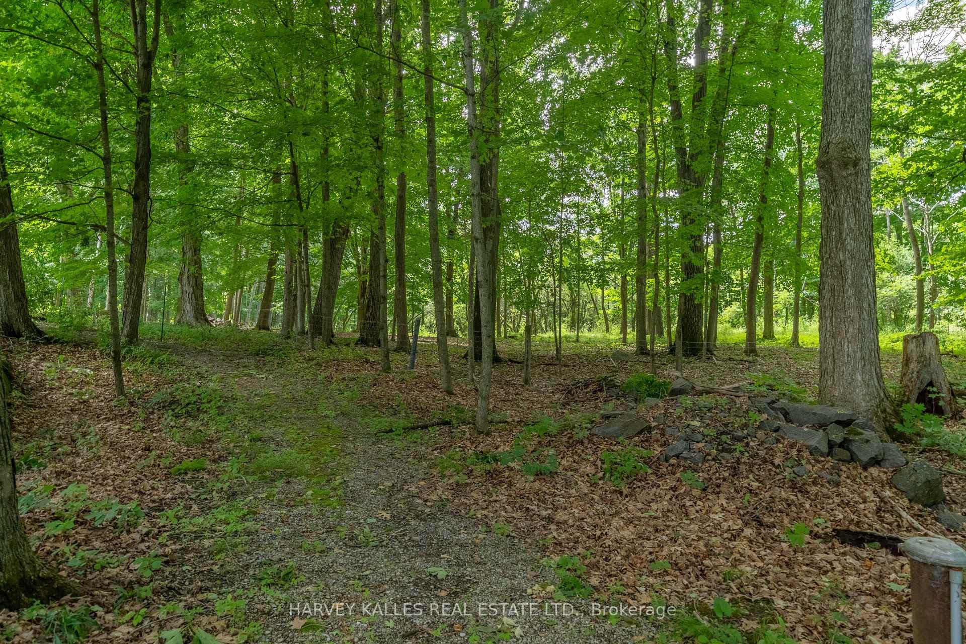 2029 Washburn Road photo 16