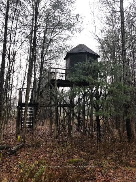 LOT 10 10th SIDEROAD NDR N/A photo 6