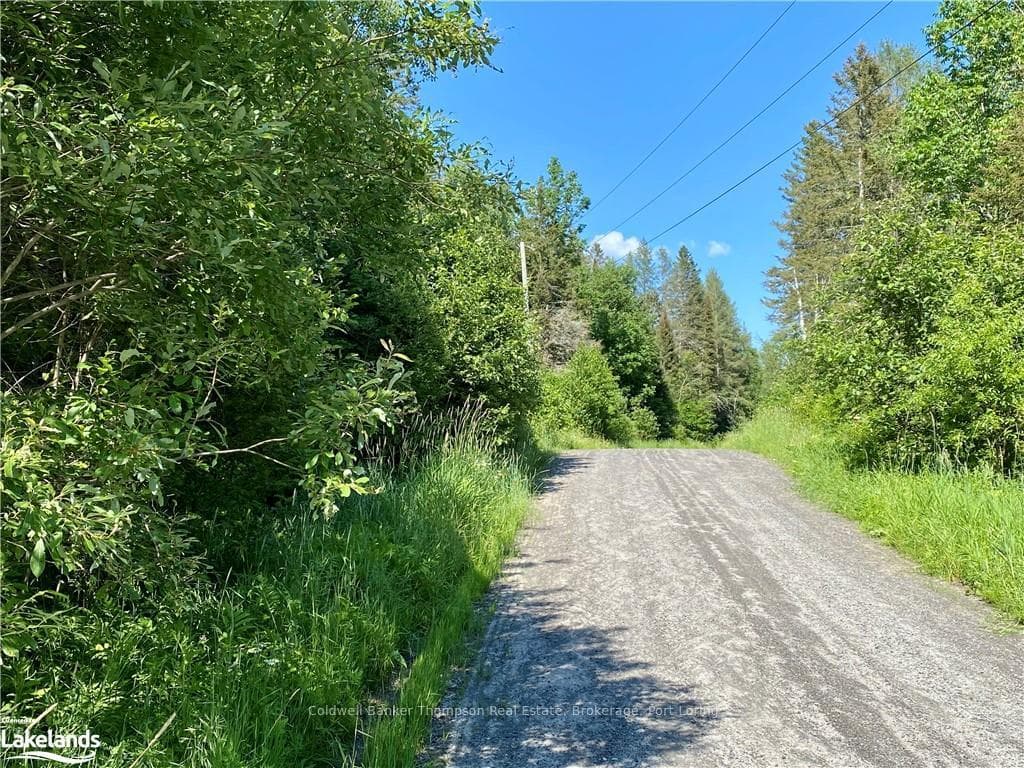 0 CONCESSION ROAD 10 AND 11 N/A photo 25