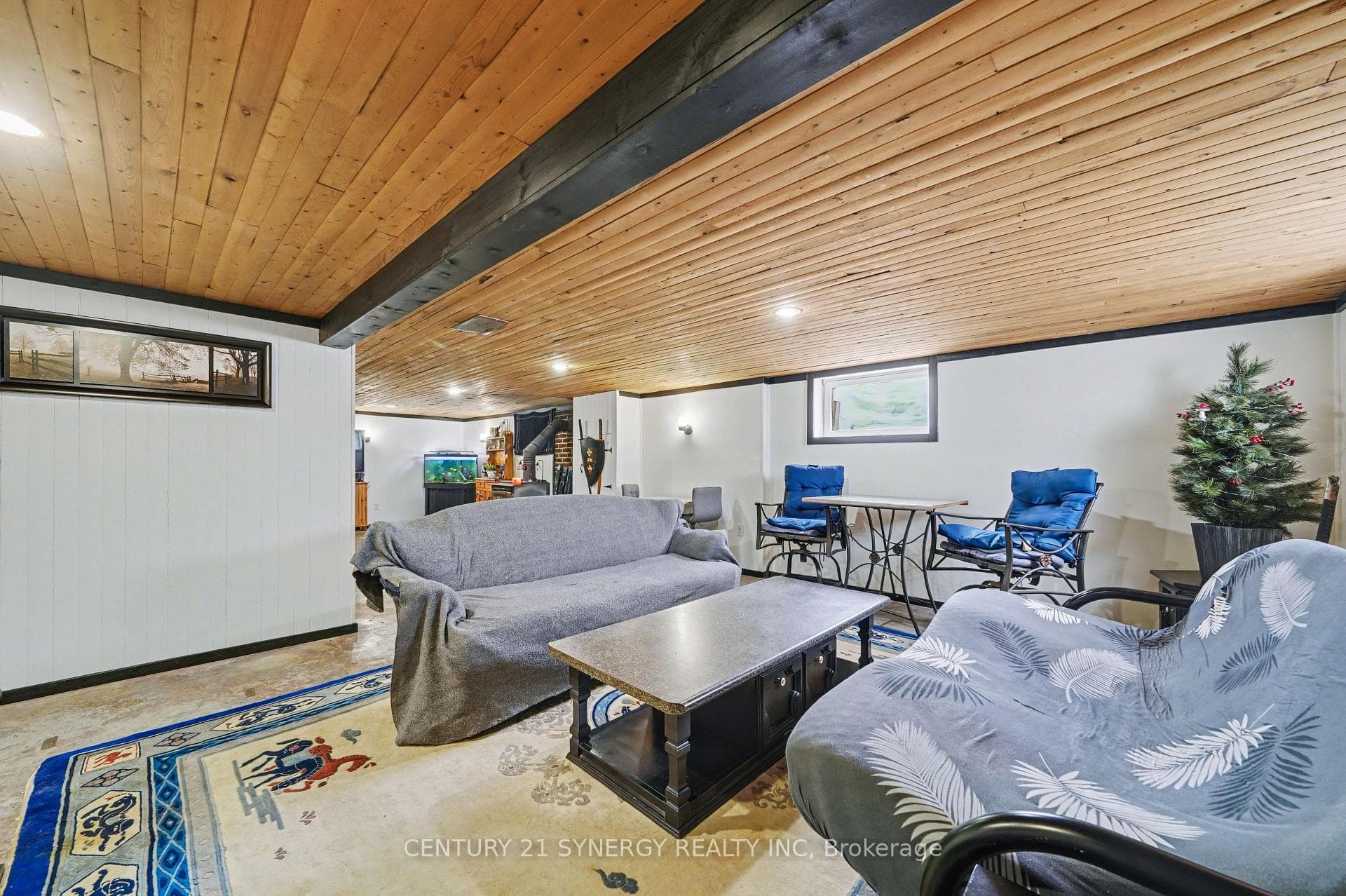 Rec Room Lower Level