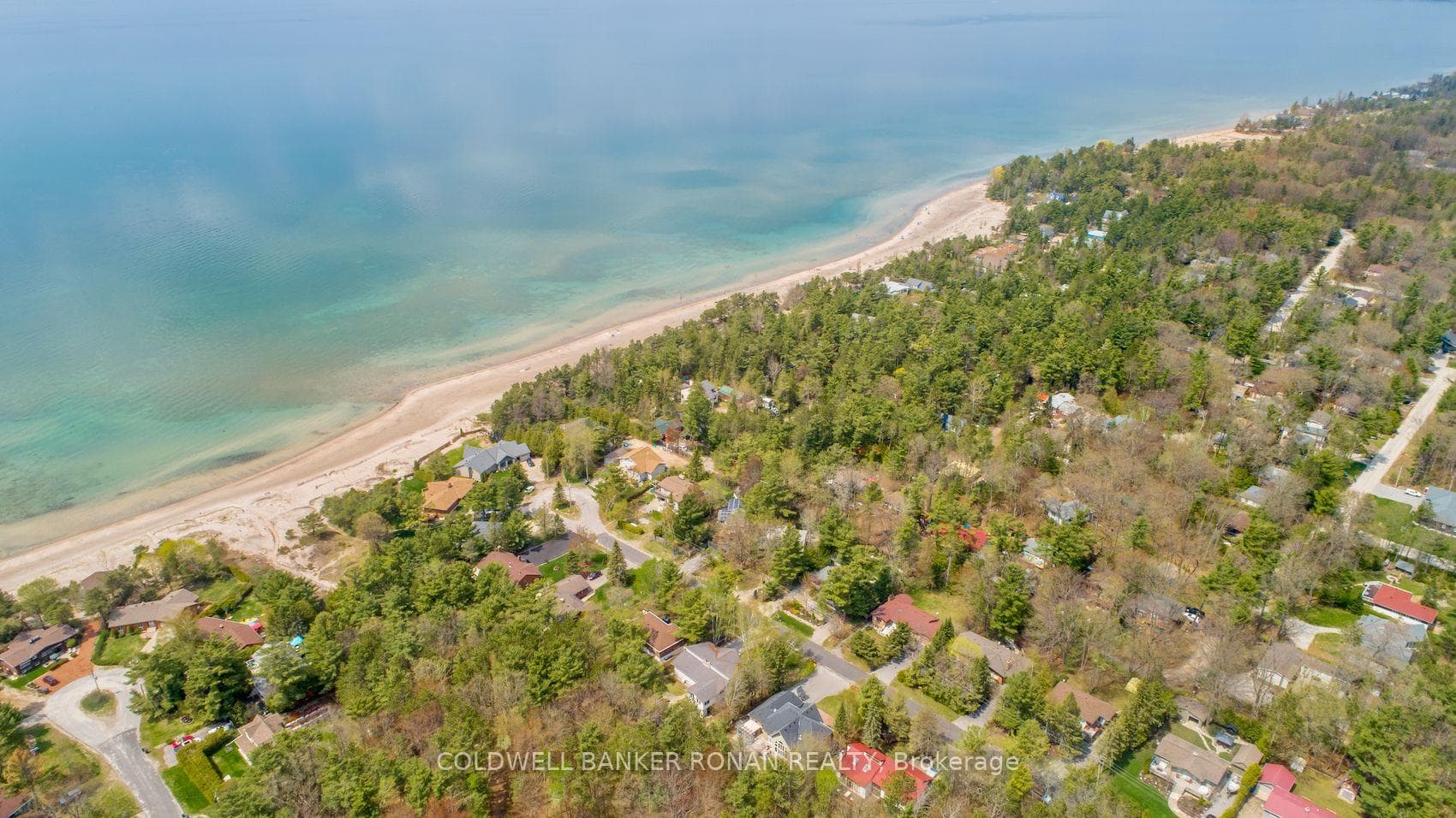 24 Pine Forest Drive photo 44
