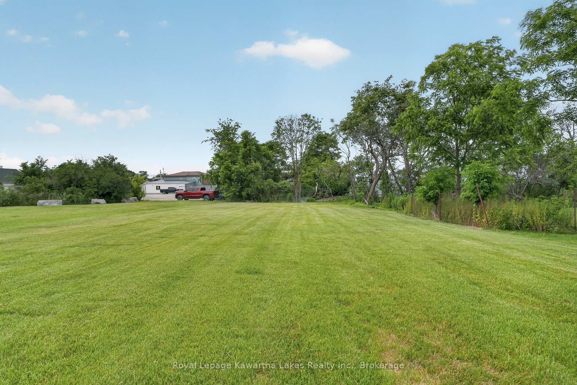 22 Murray Street photo 32