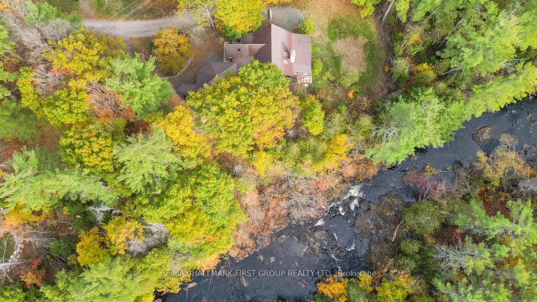74 Cottage Lane photo 47