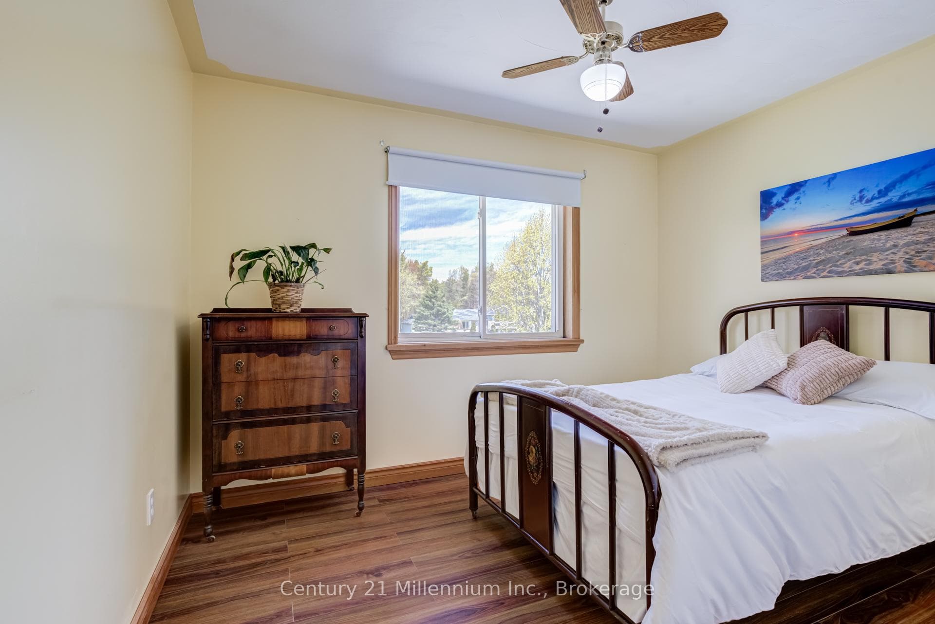 34 Pine Tree Drive photo 23