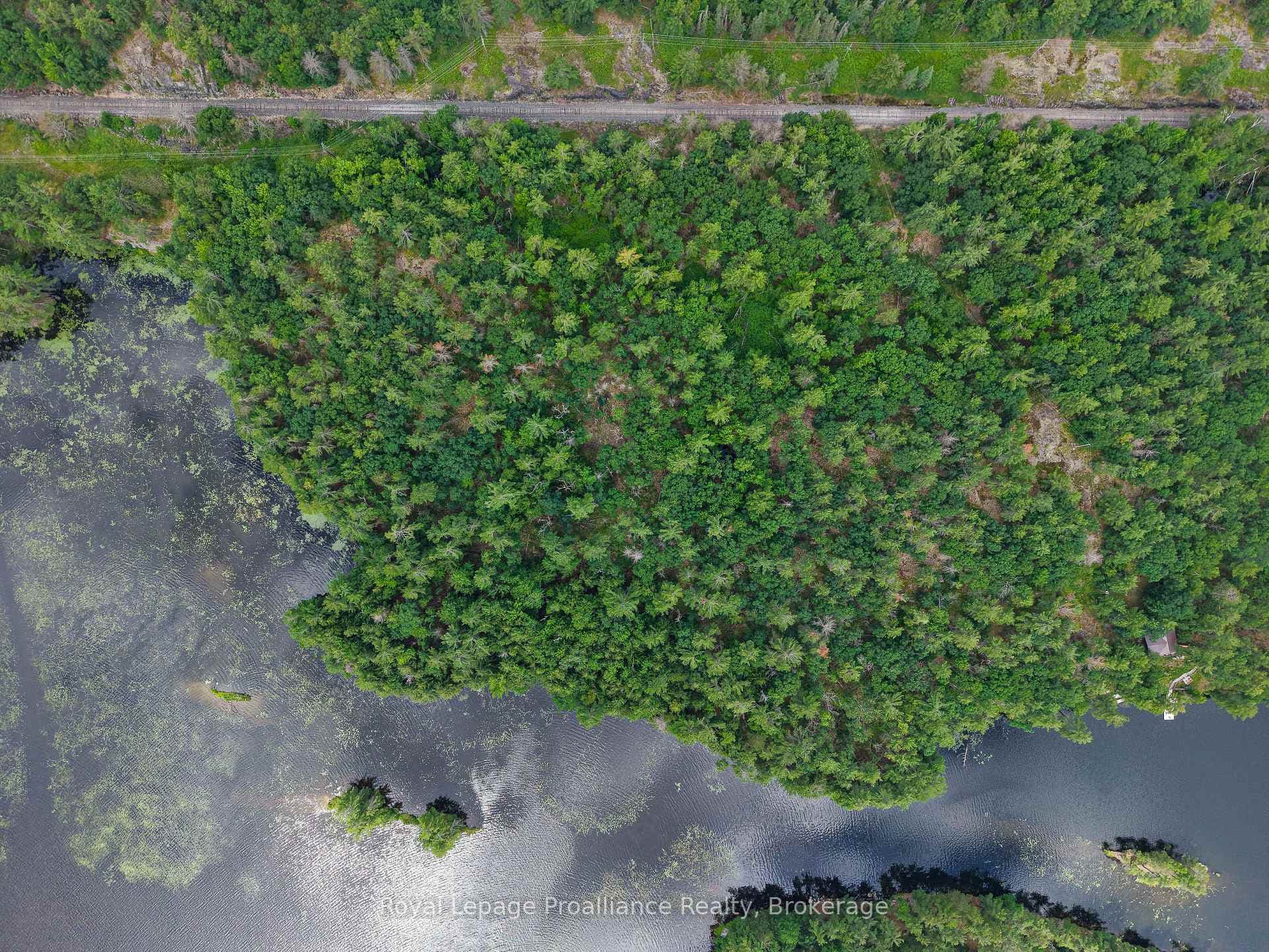 1 WAO Kasshabog Lake N/A photo 9