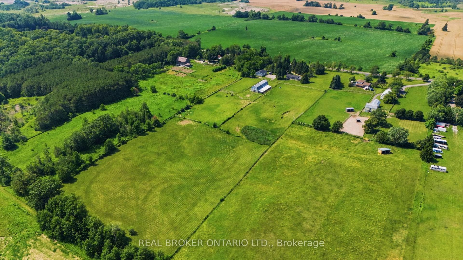 785 Reid Road photo 6