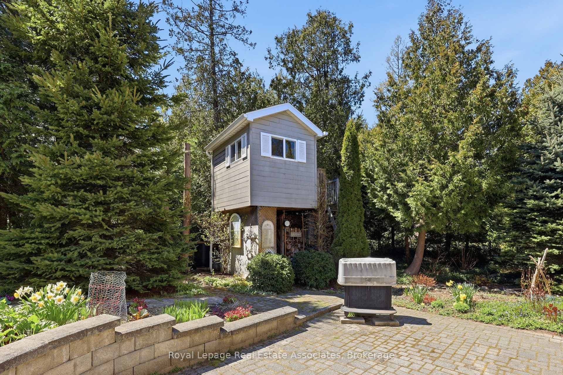 Tree House/Shed