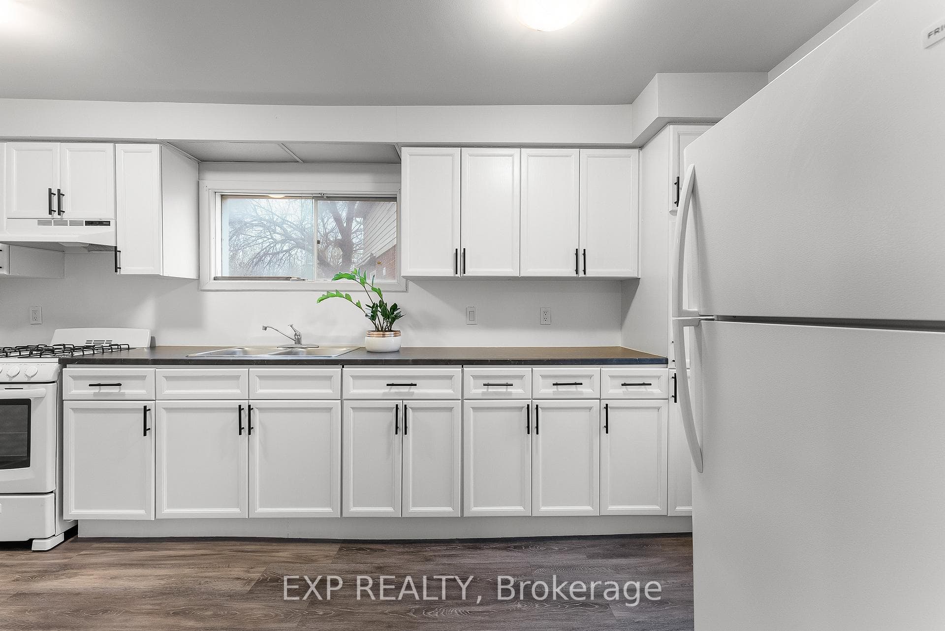 9 Facer Street Unit 1 photo 5