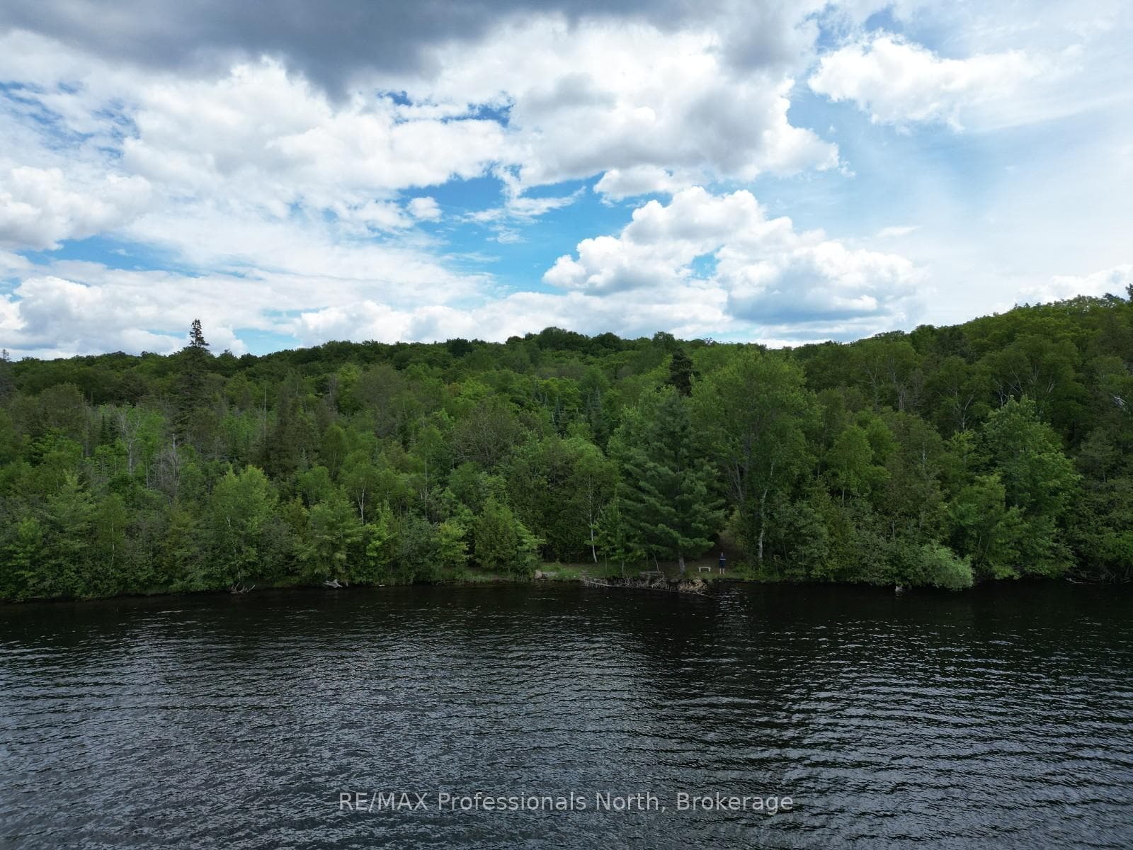 2397 Kashagawigamog Lake Road photo 32