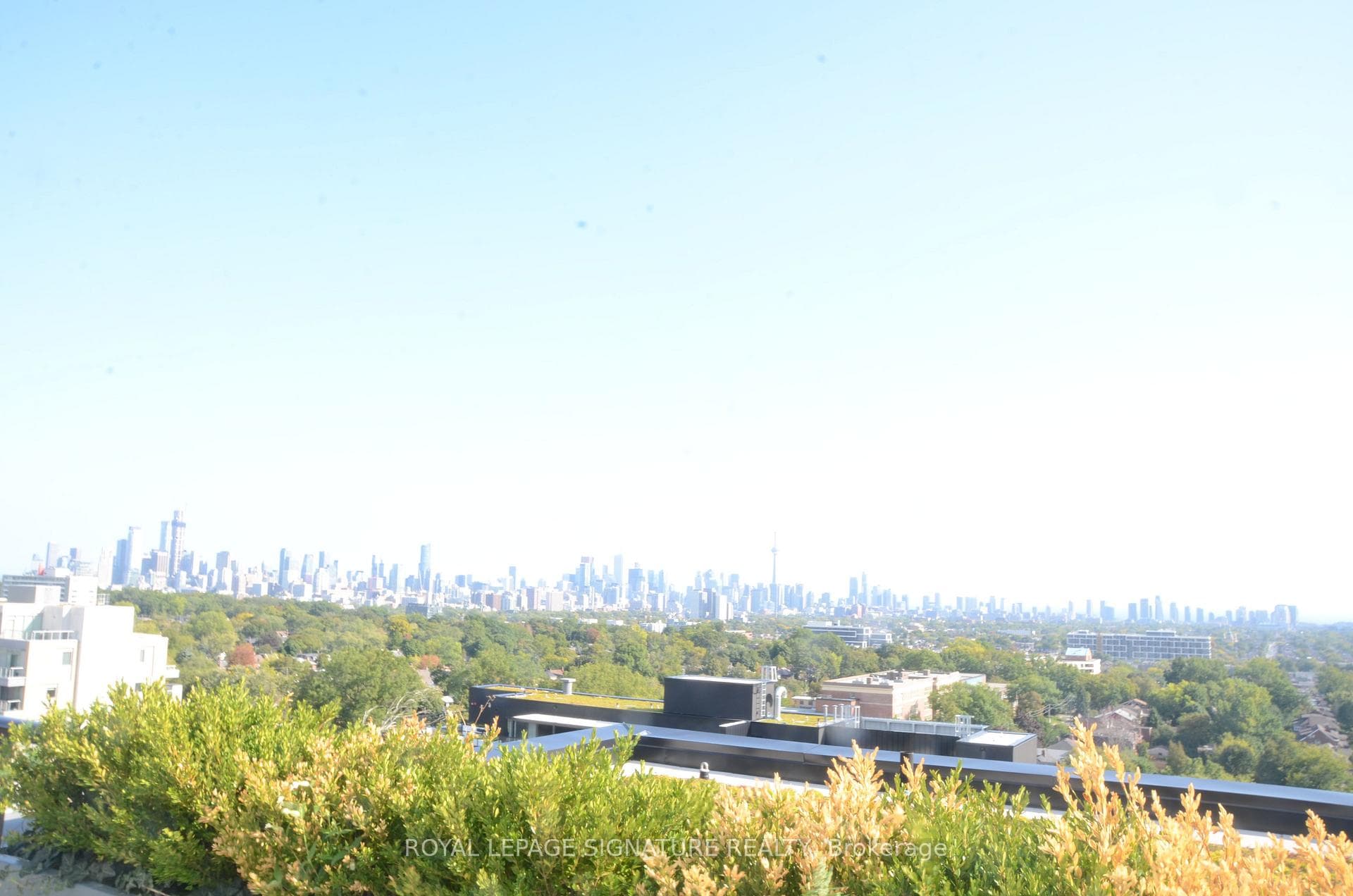 900 St Clair Avenue Unit 301 photo 15