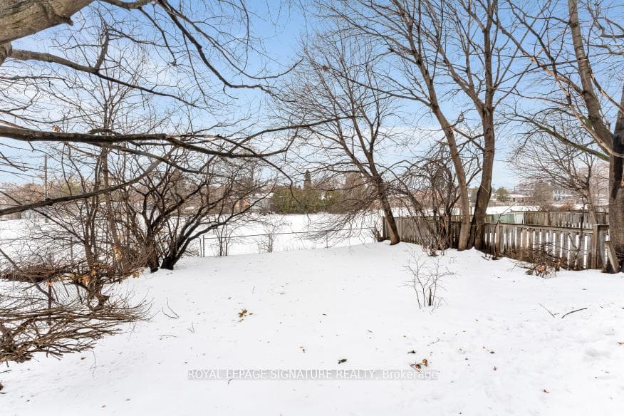 88 Crocus Drive photo 39
