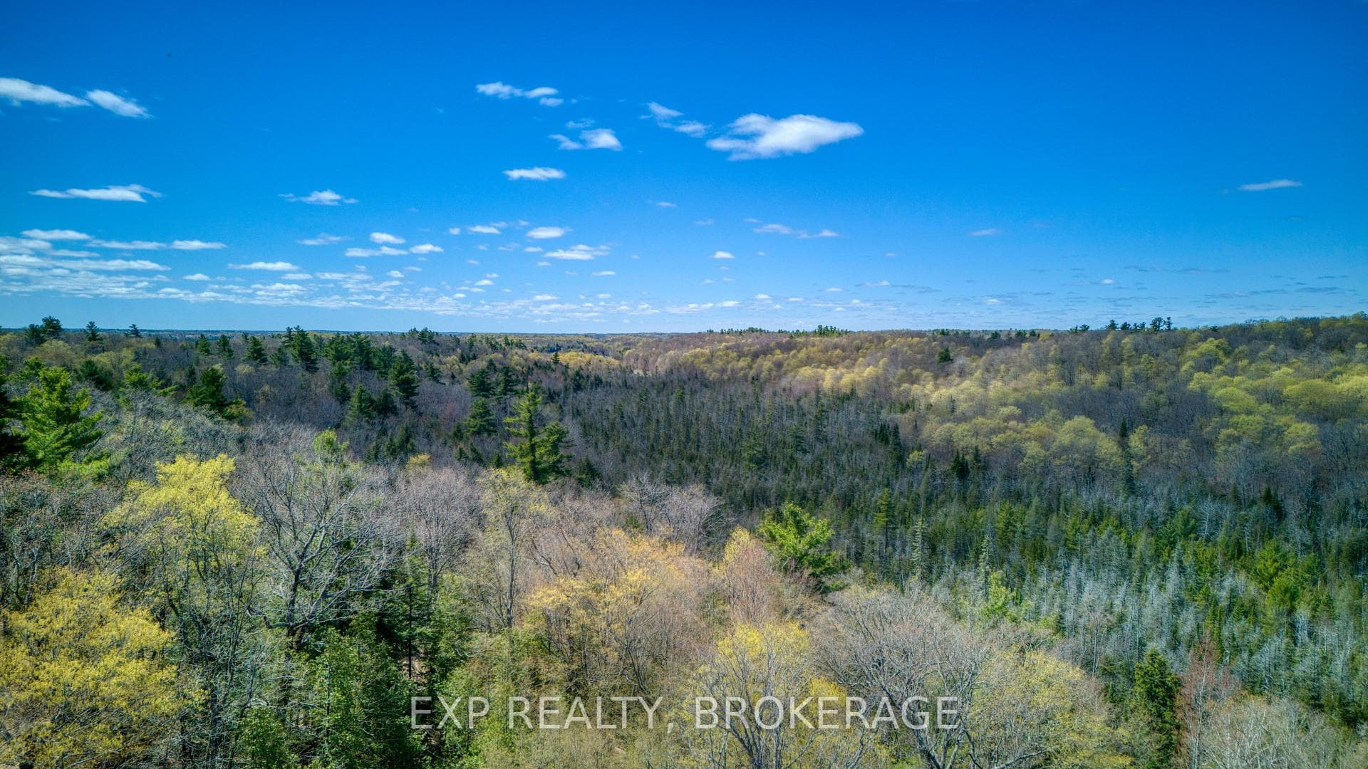 371 Sherbrooke Drive photo 26