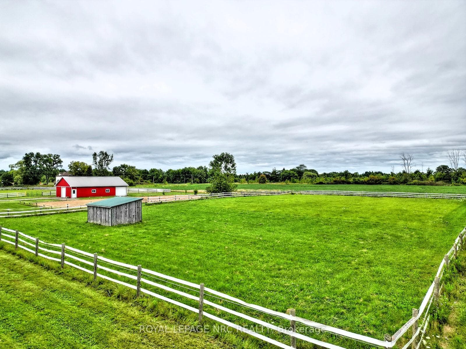 1 Acre Paddock with run-in shelter