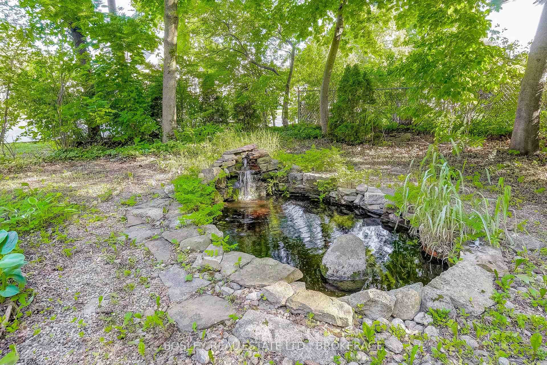 Lot (back yard of 670 King St)