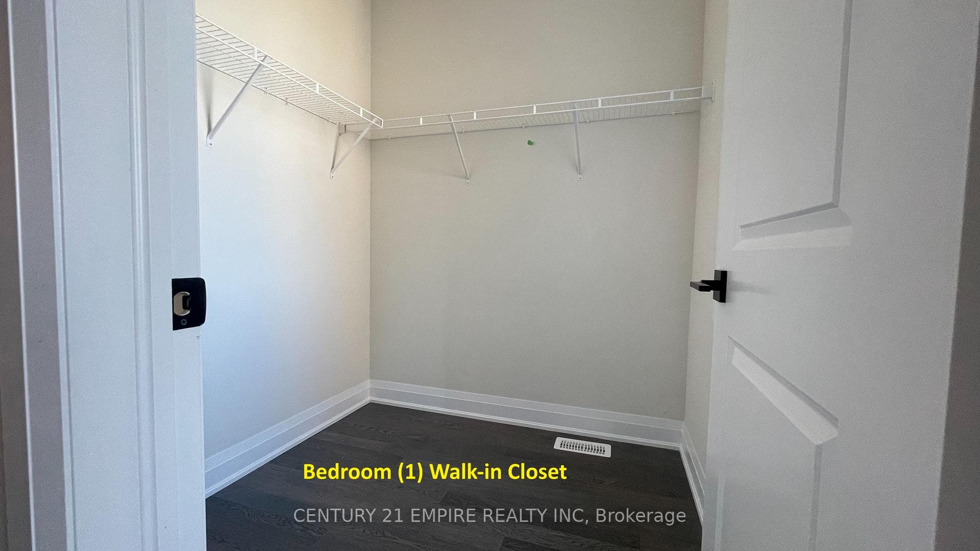 41 Lipscott Drive photo 20