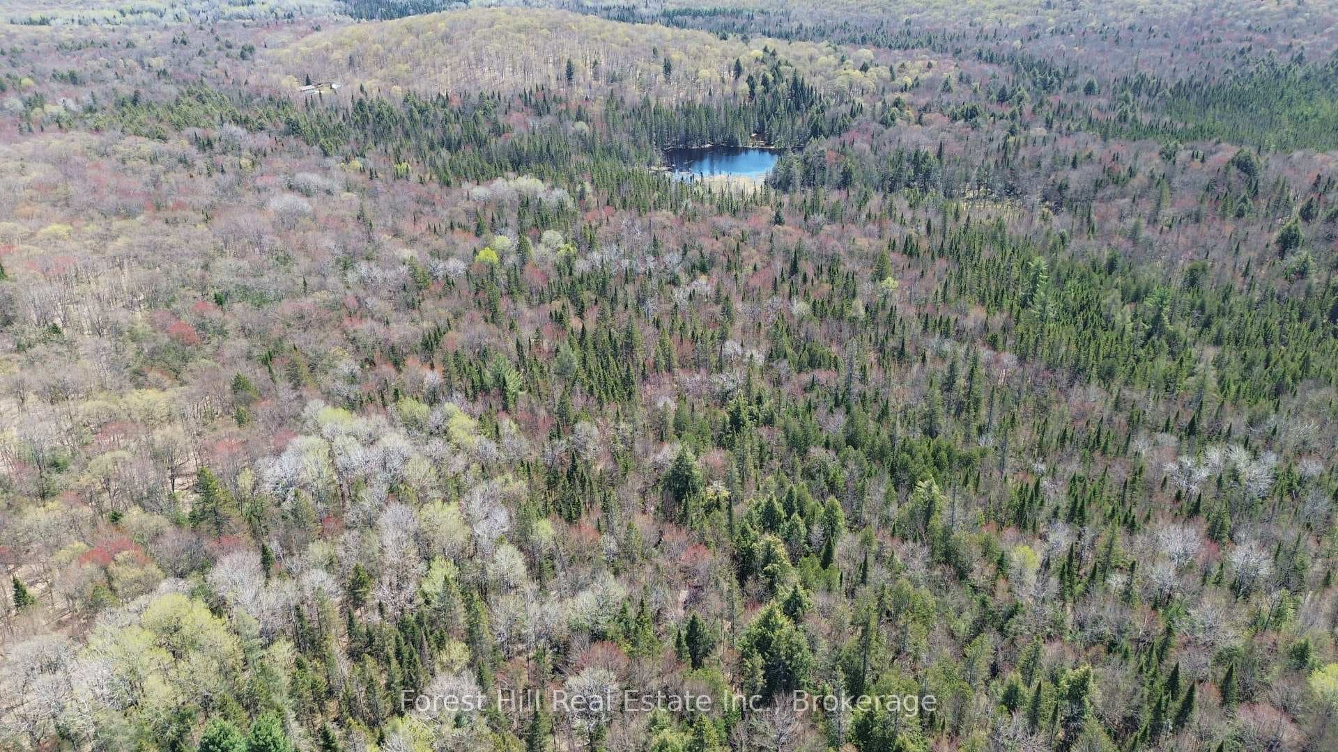 515 JAMES CAMP Road photo 18