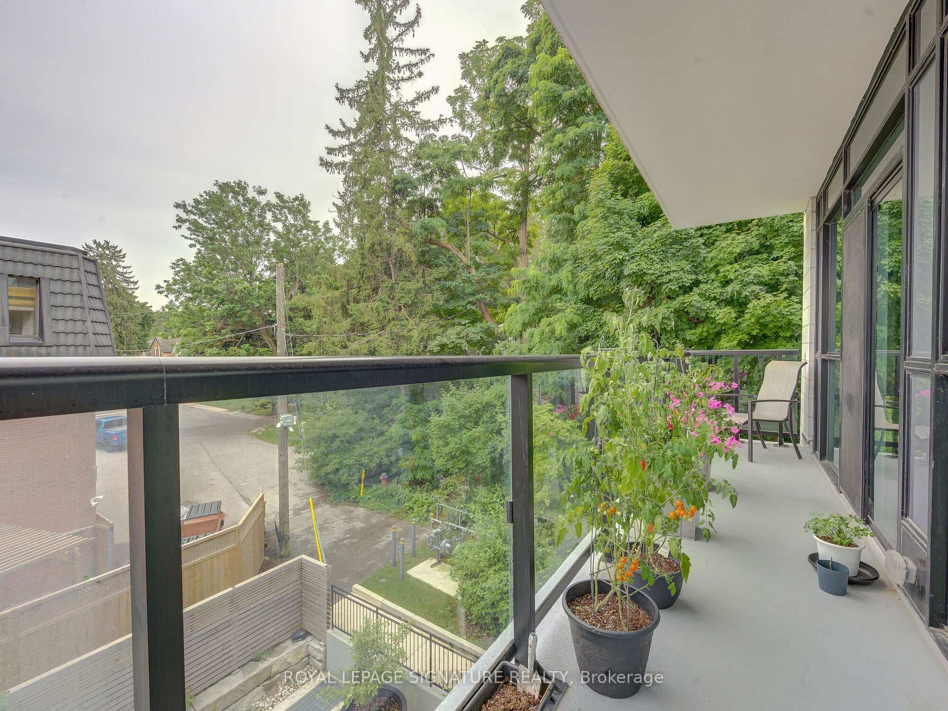50 Ann Street Unit 305 photo 16