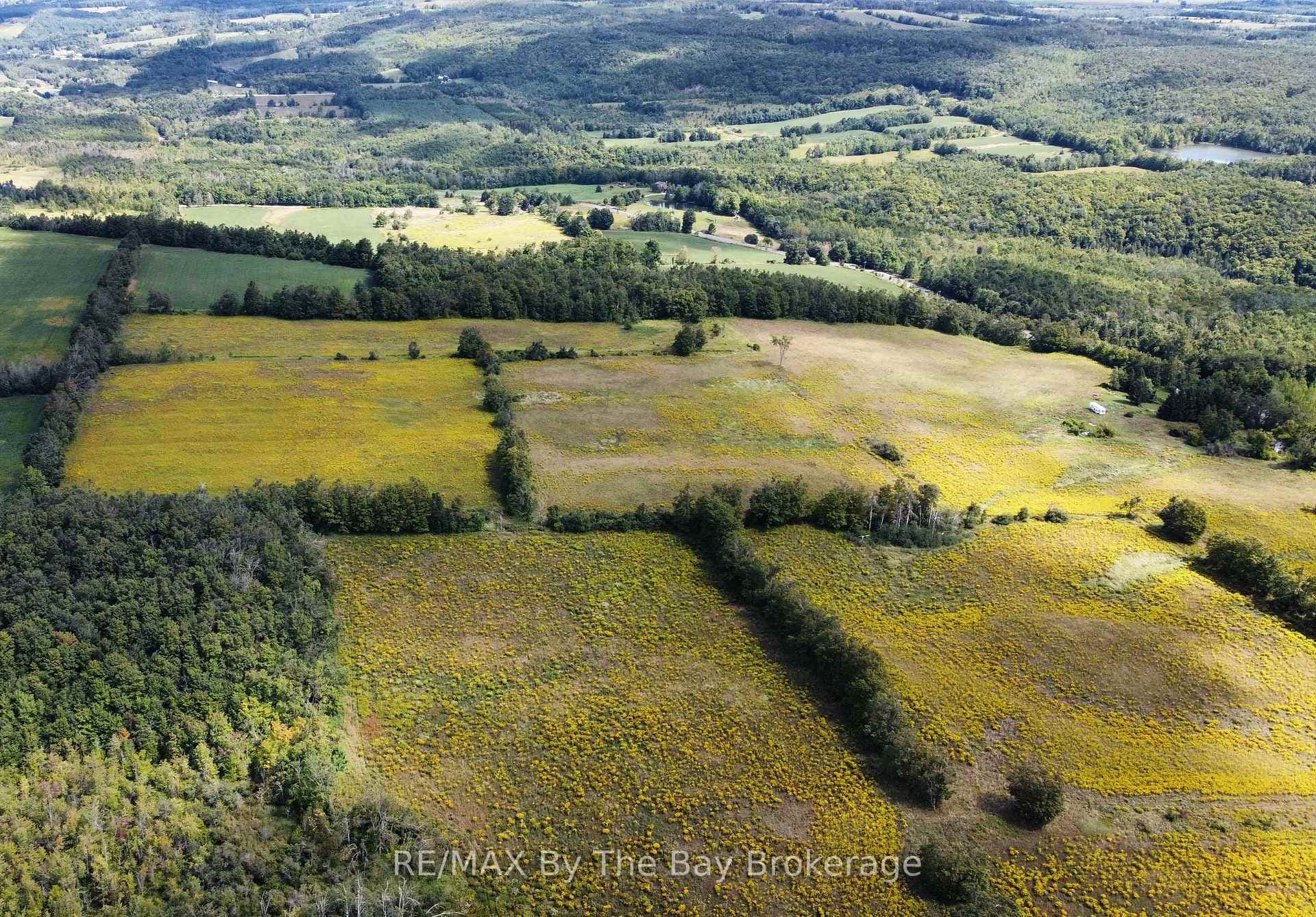 9878 County Road 9 Acres photo 6