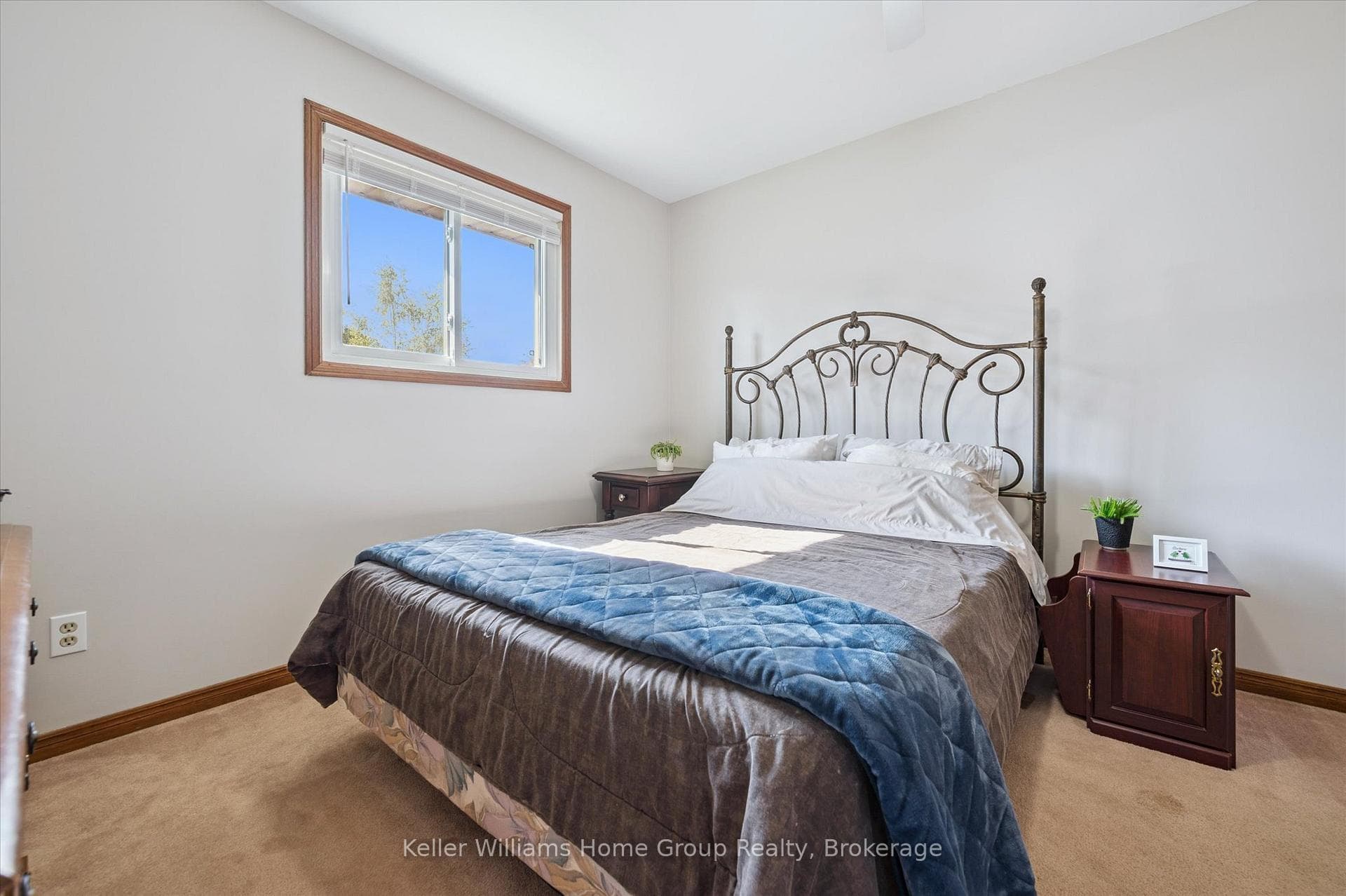 230 Gordon Street photo 28