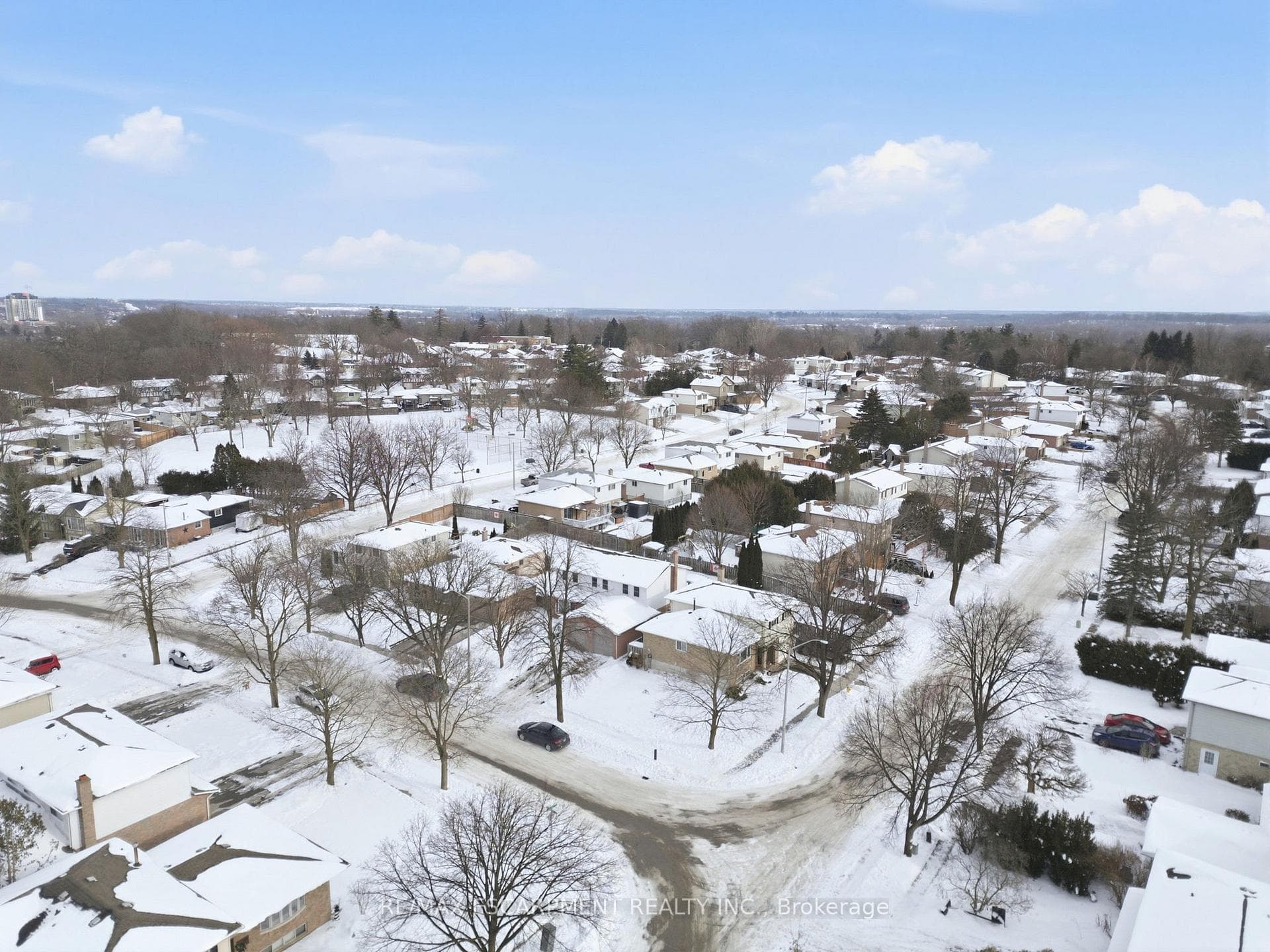 17 Strawberry Lane photo 23
