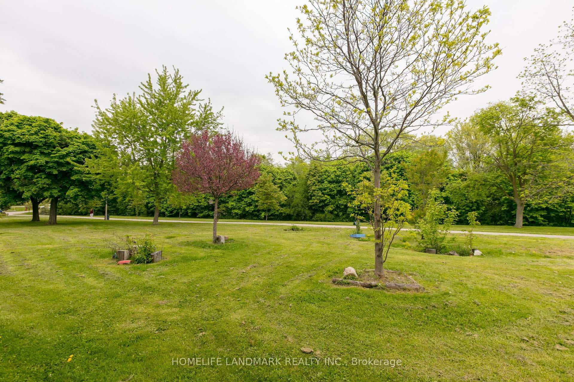 53 Addington Crescent photo 38