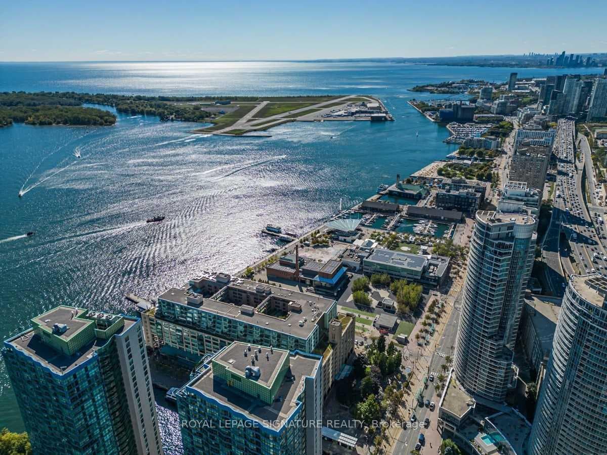 Join the Harbourfront community