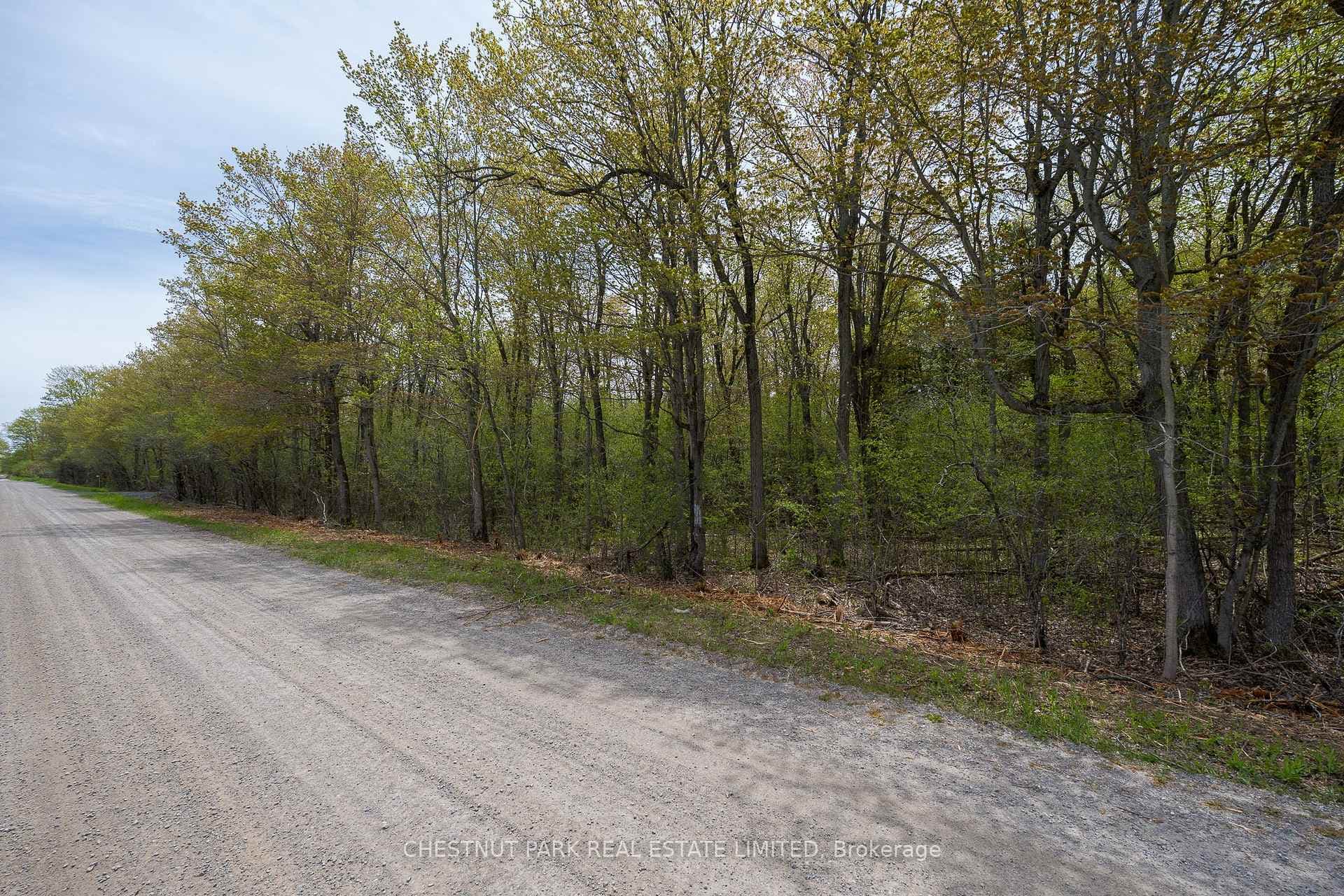 206 Simpson Road photo 24