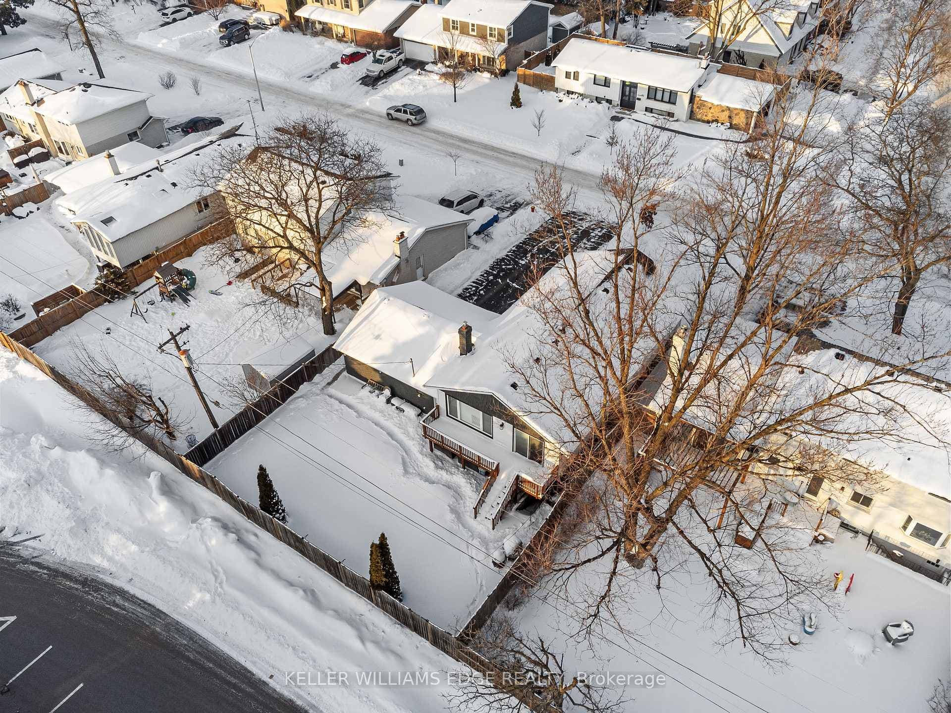 Aerial View, Backyard