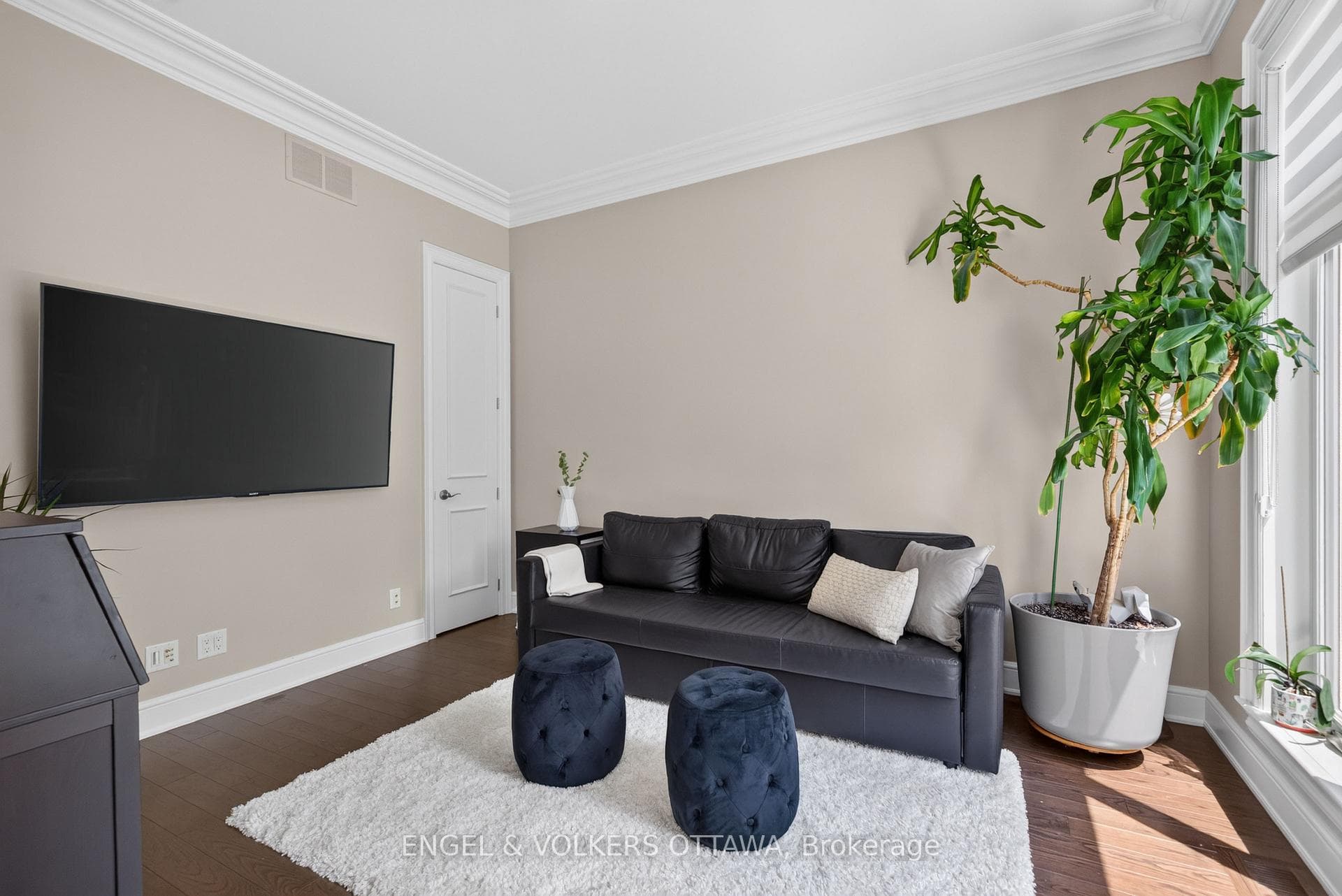 64 Helena Street photo 20