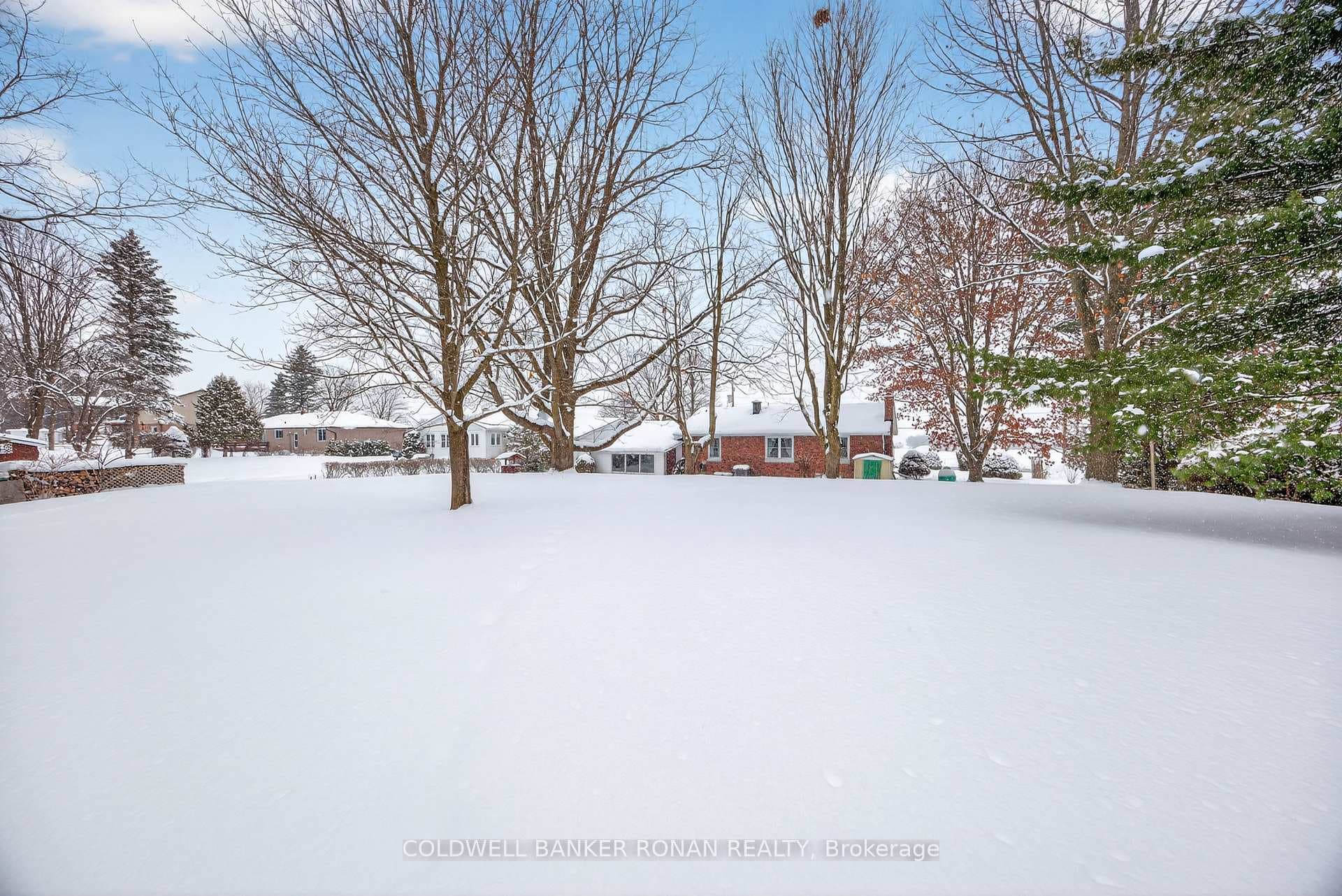 4532 ADJALA-TECUMSETH Townline photo 20