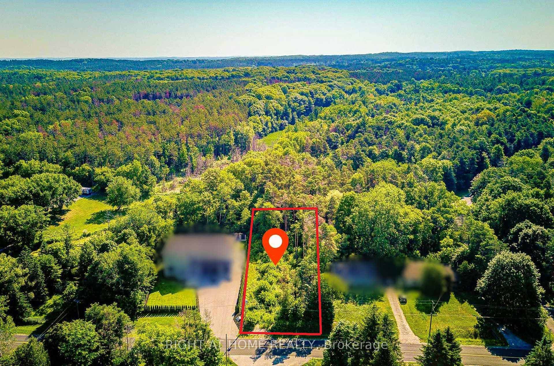 16895 Mccowan Road photo 2