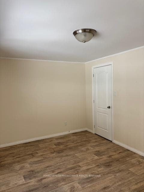 230 Coe Island Lake Road photo 5