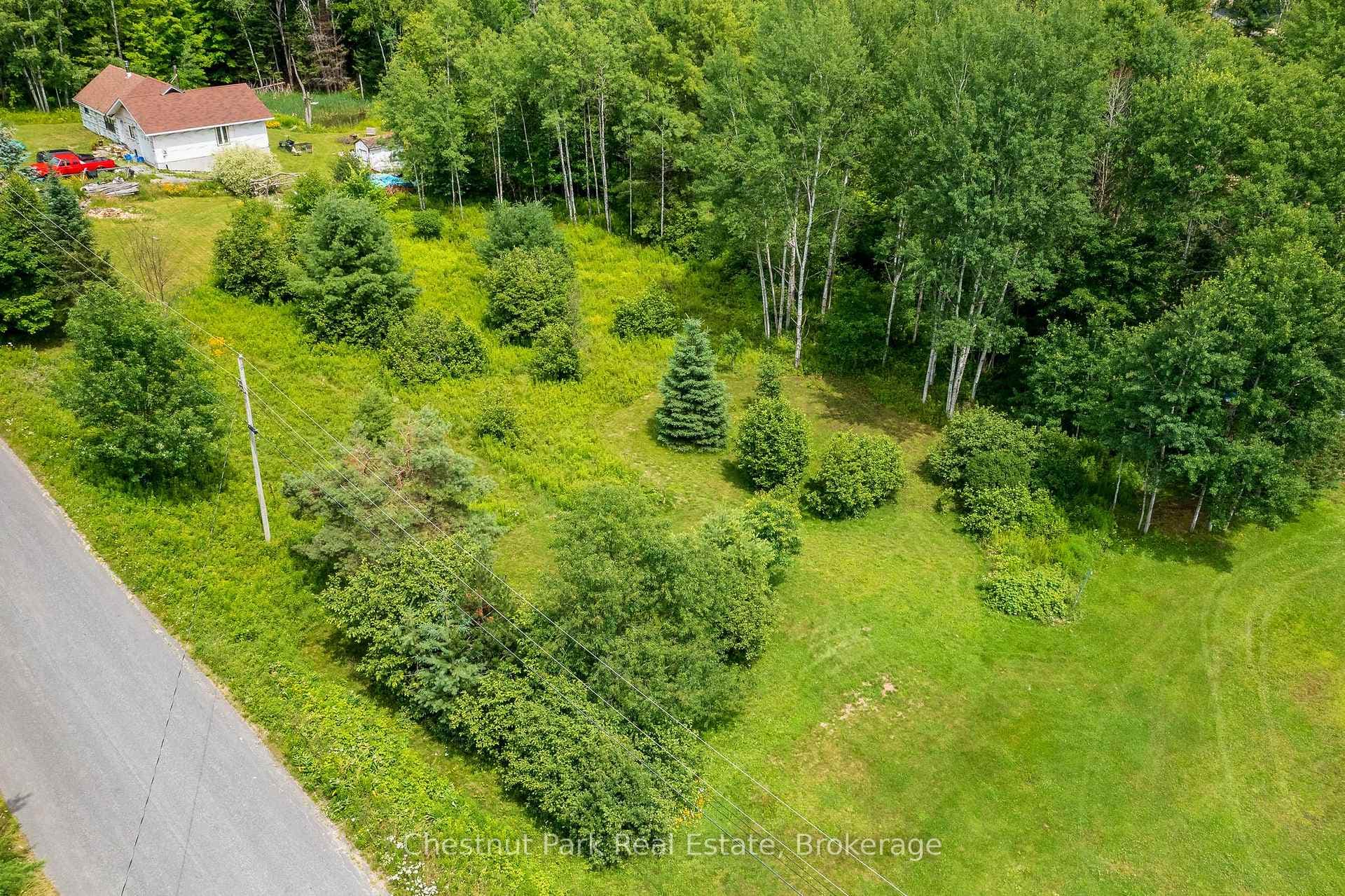 17 Vernon Lane photo 3