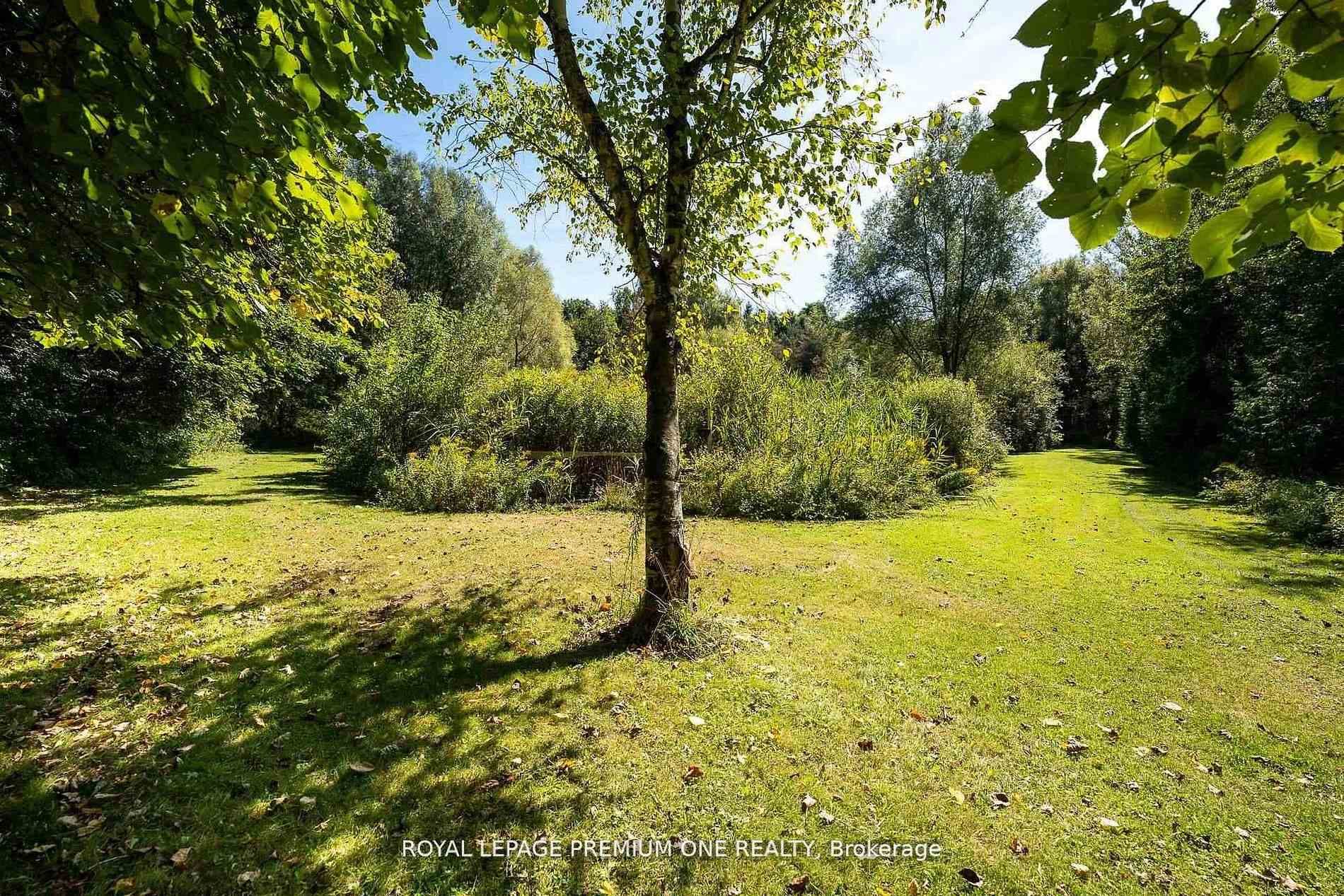 14650 Heart Lake Road photo 43