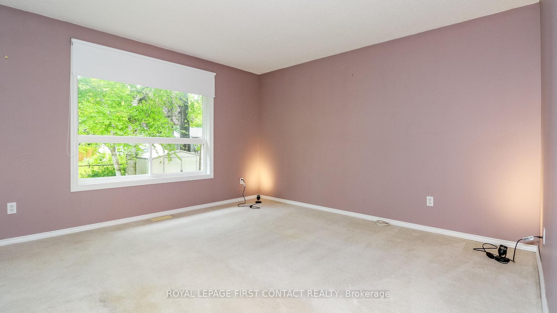 401 Mary Street photo 19