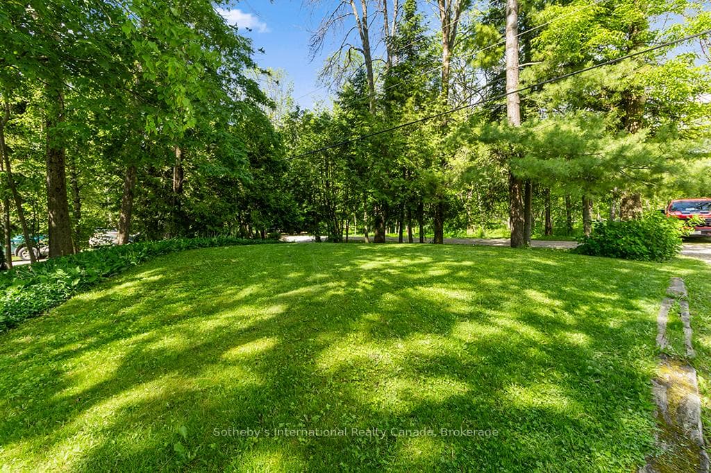 Backyard.