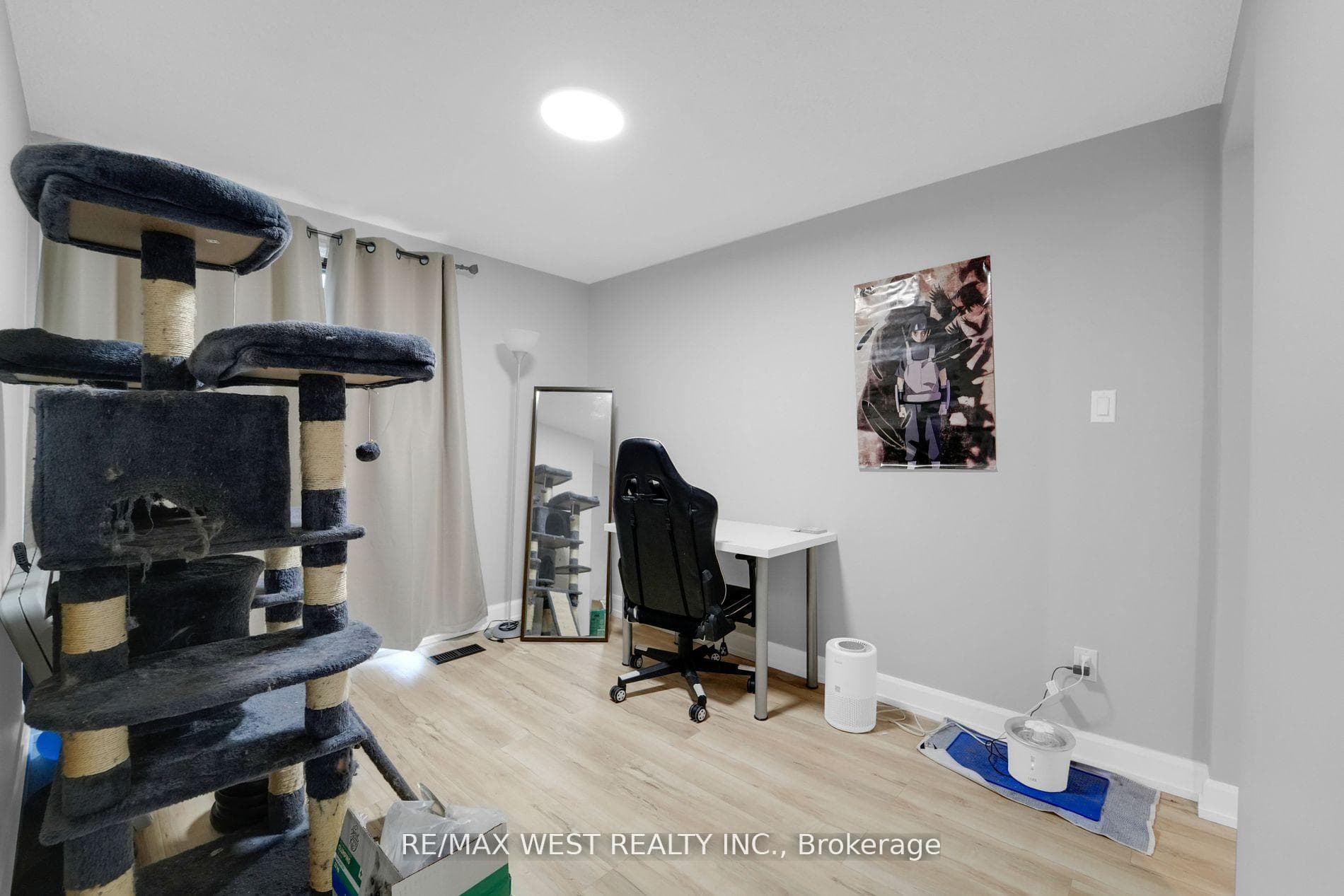 241 Letitia Street photo 8