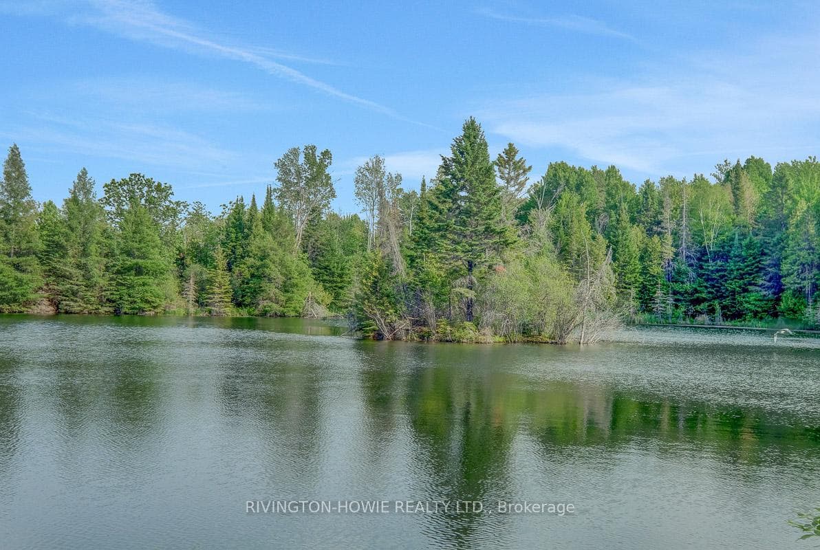 Your private pond!