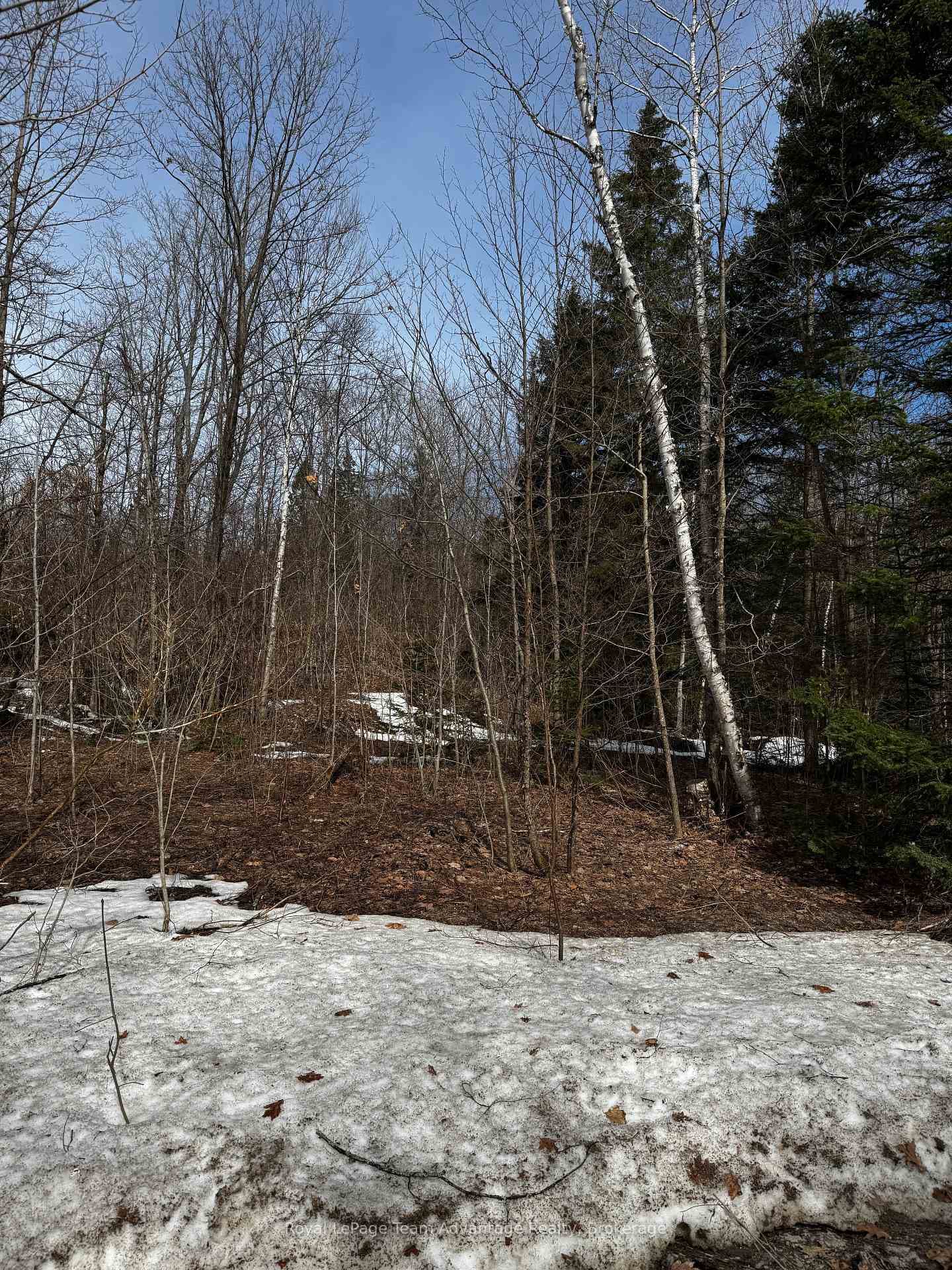 Lot 2 Lorimer Lake Road photo 12