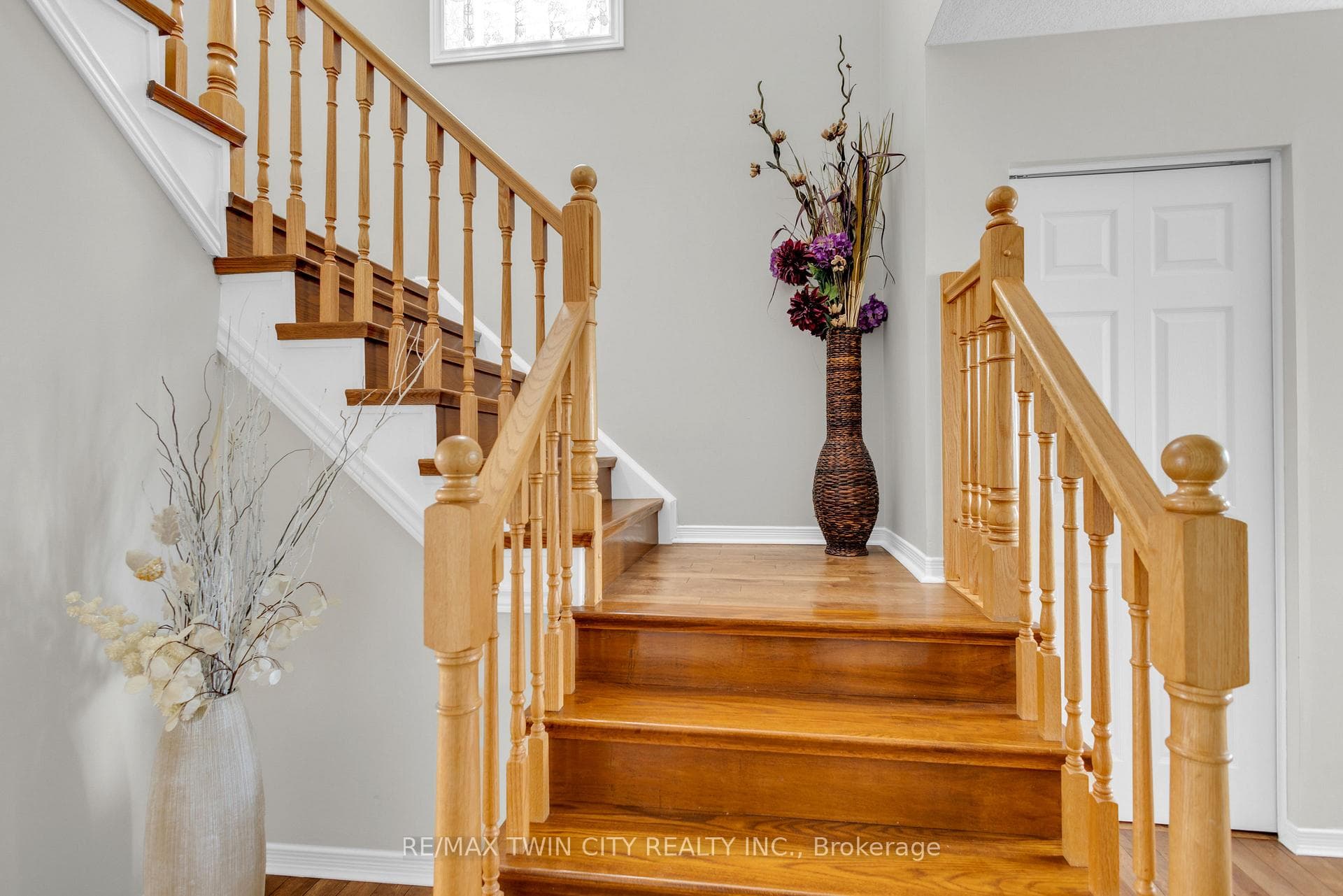 22 Dahlia Street photo 15
