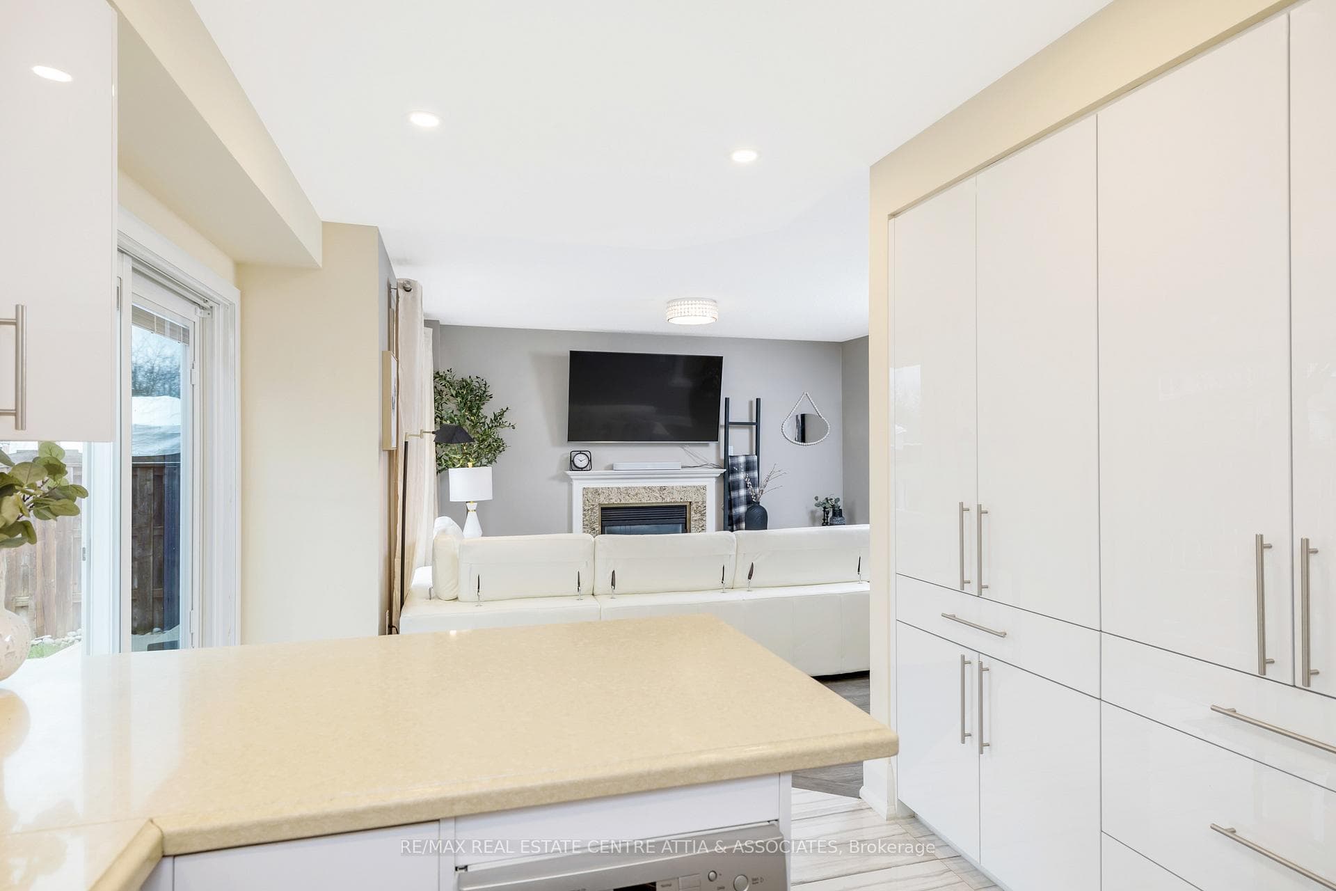40 Lawlor Street photo 18