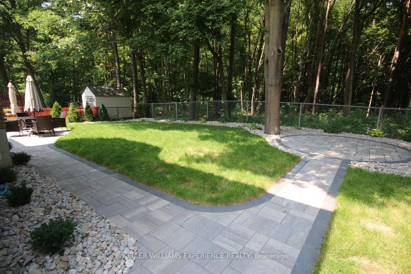 Backyard in Summer