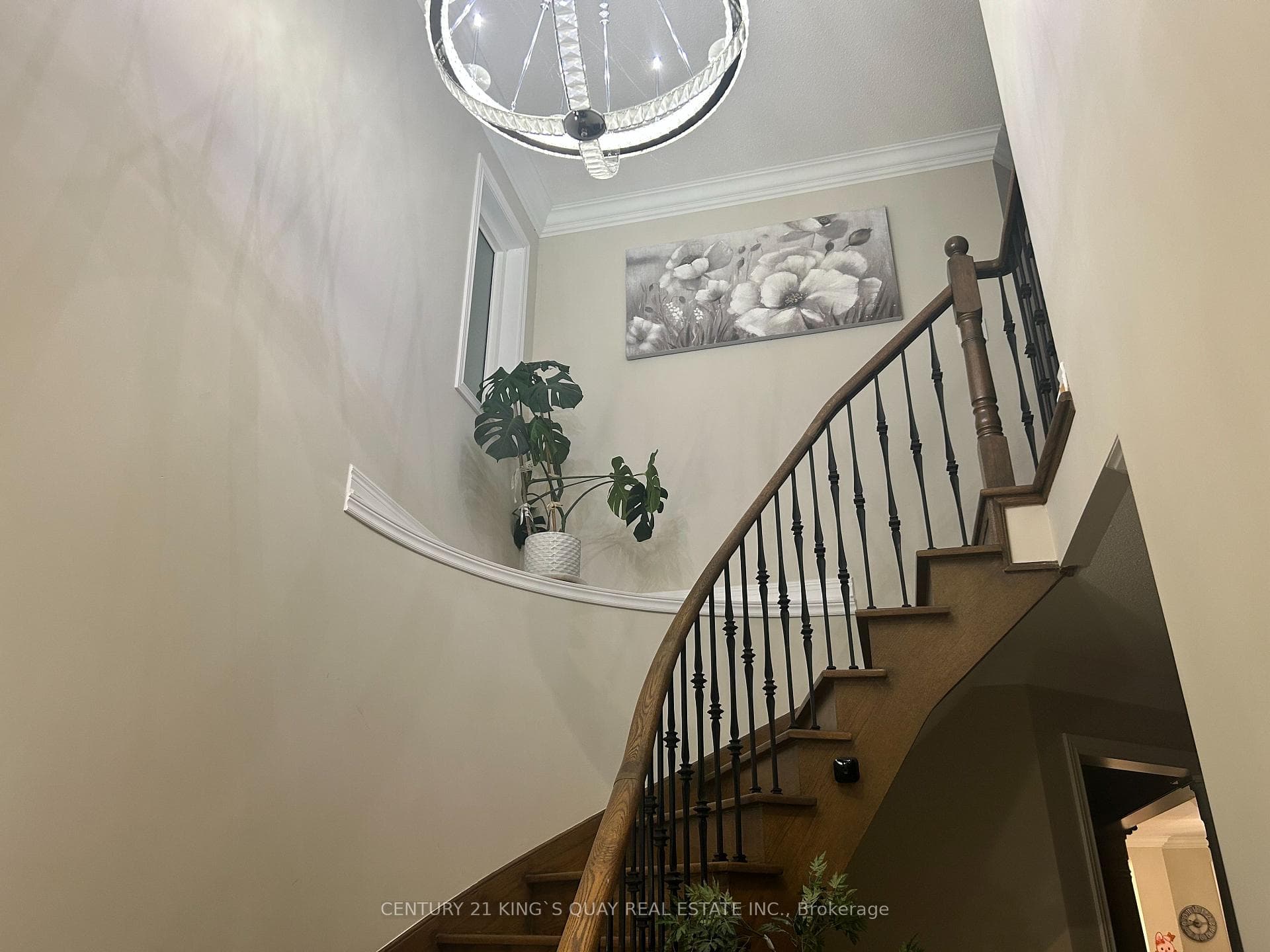 52 Brockdale Street photo 1