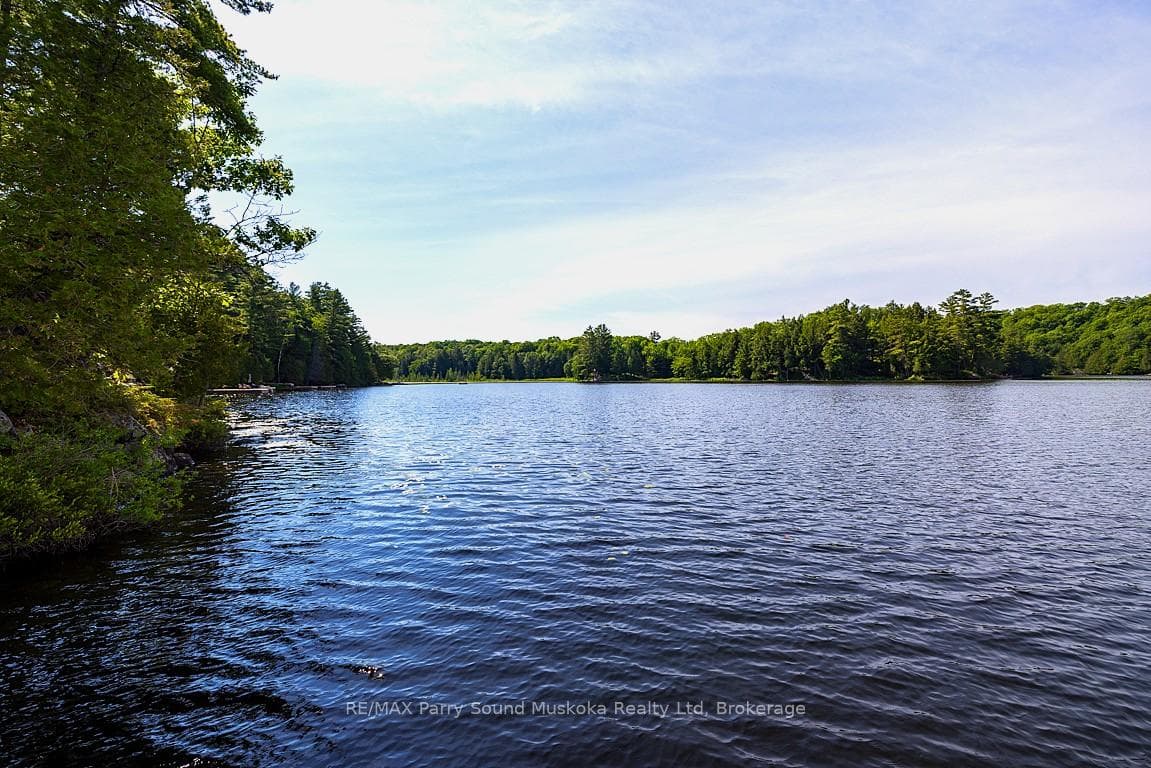 509 Horseshoe Lake WA (Bear Lane) N/A photo 39