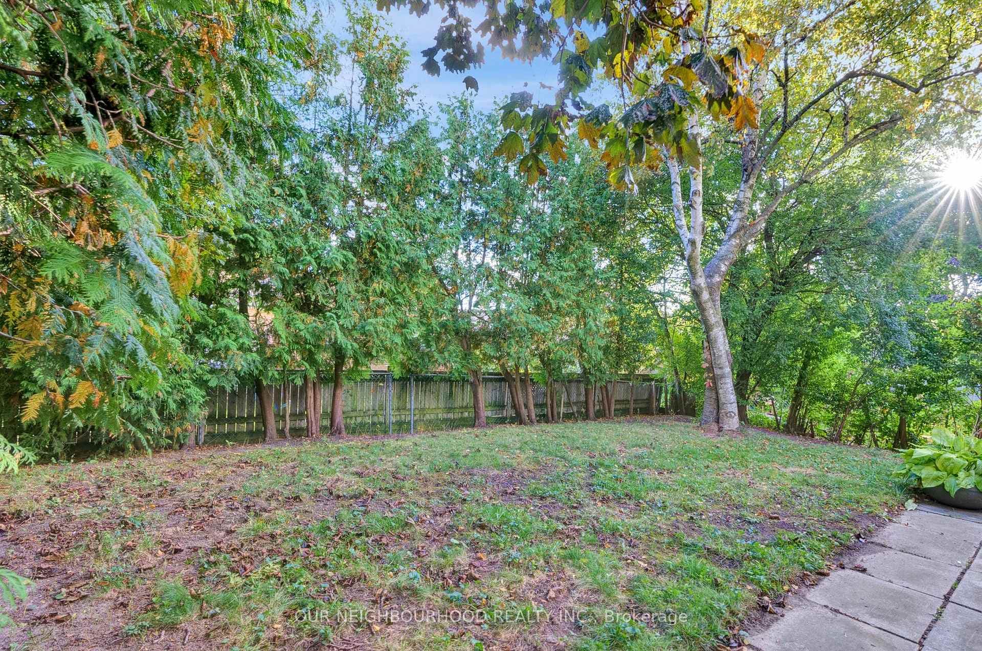 31 McCulley Street photo 31